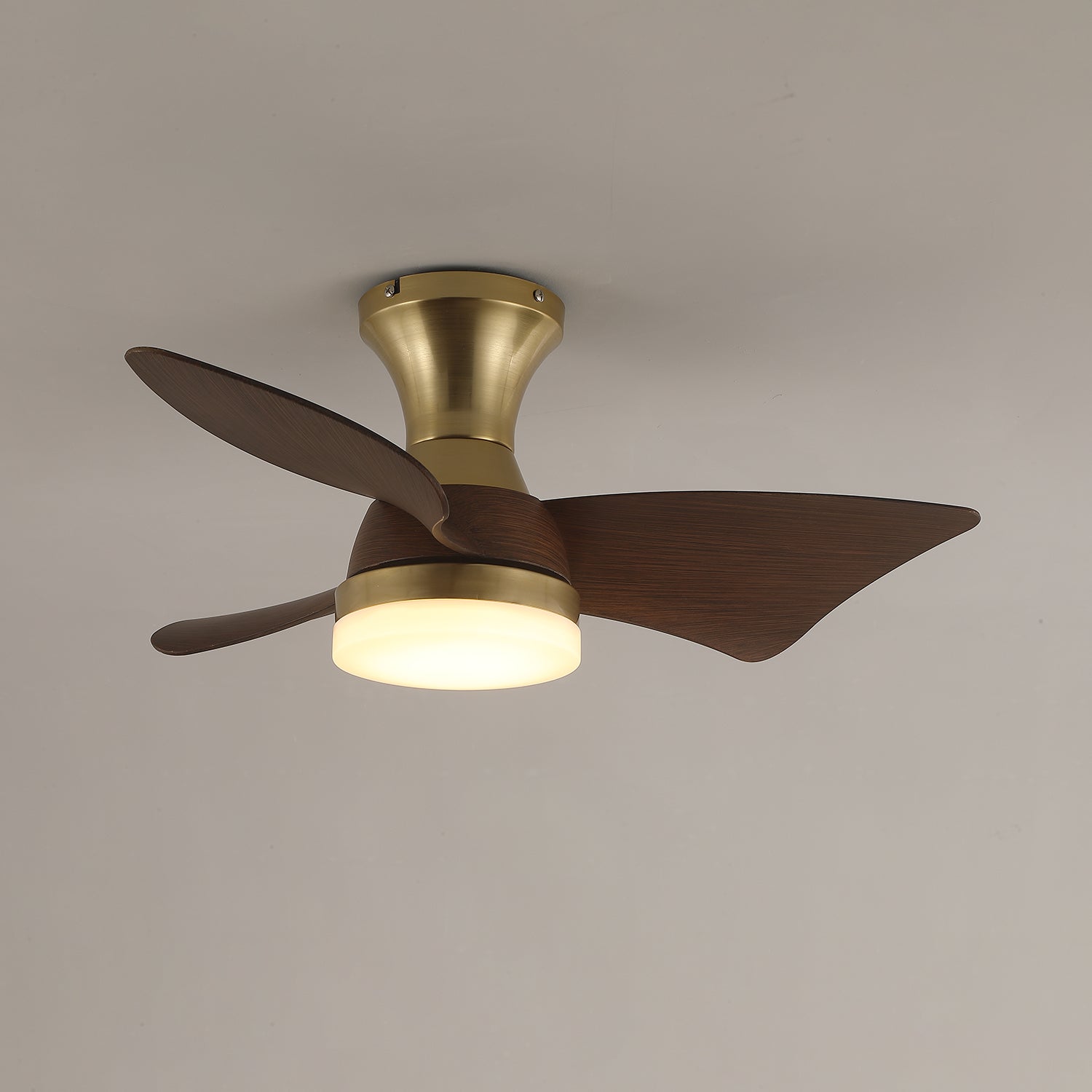 Aureon Modern Wood Ceiling Fan Light - Letslighting