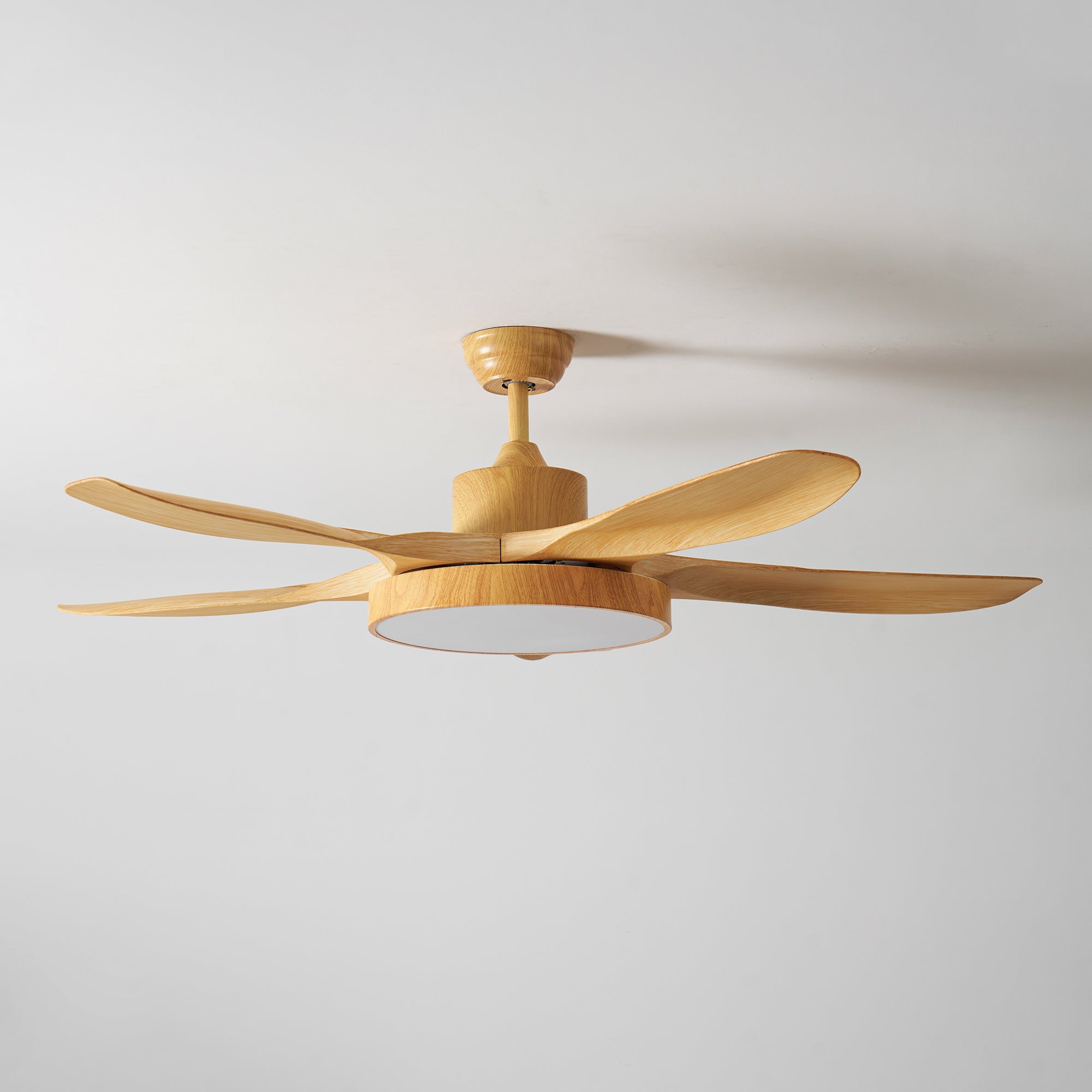 Fusion Premium Natural Acrylic Ceiling Fan Light - Letslighting