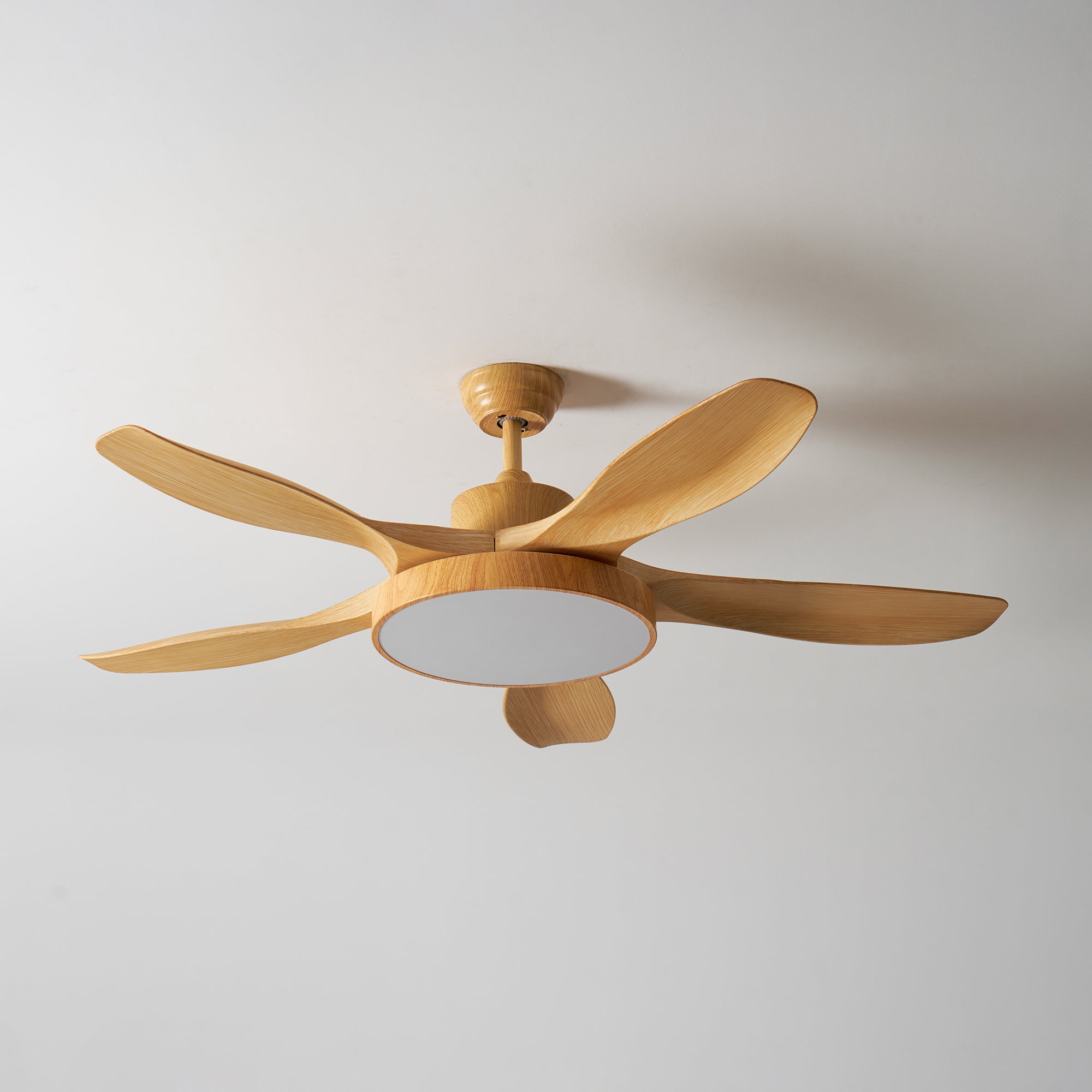 Fusion Premium Natural Acrylic Ceiling Fan Light - Letslighting