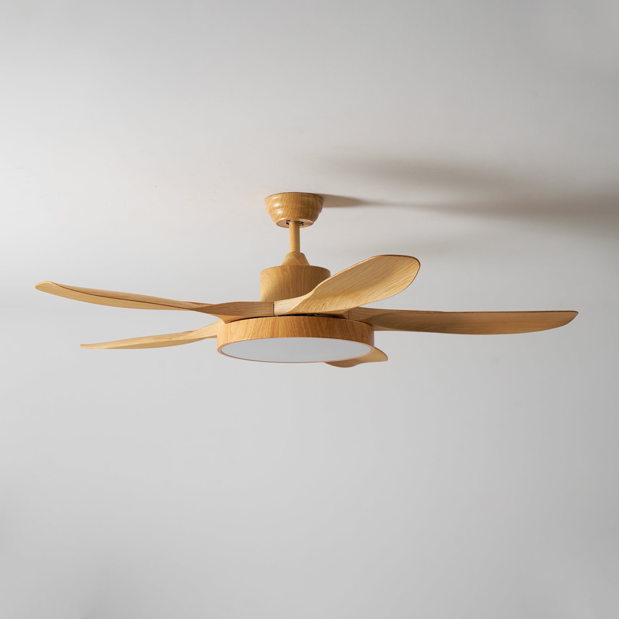 Fusion Premium Natural Acrylic Ceiling Fan Light - Letslighting