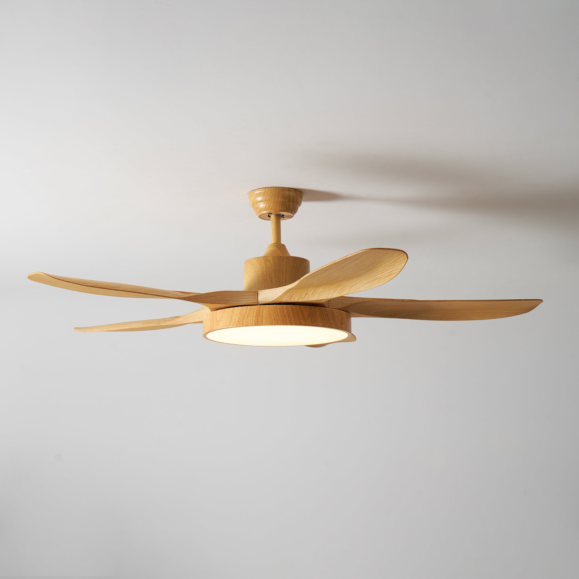 Fusion Premium Natural Acrylic Ceiling Fan Light - Letslighting