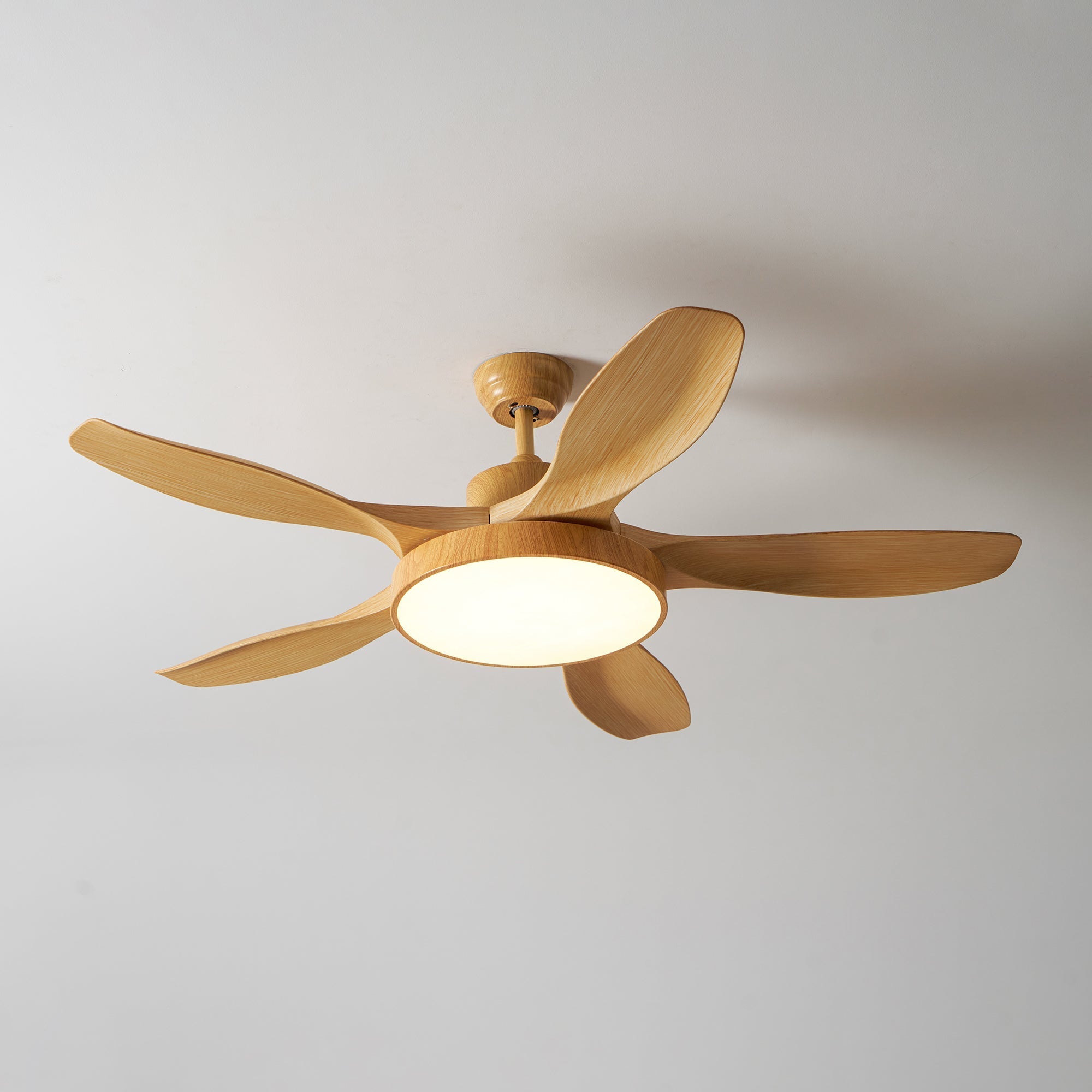 Fusion Premium Natural Acrylic Ceiling Fan Light - Letslighting
