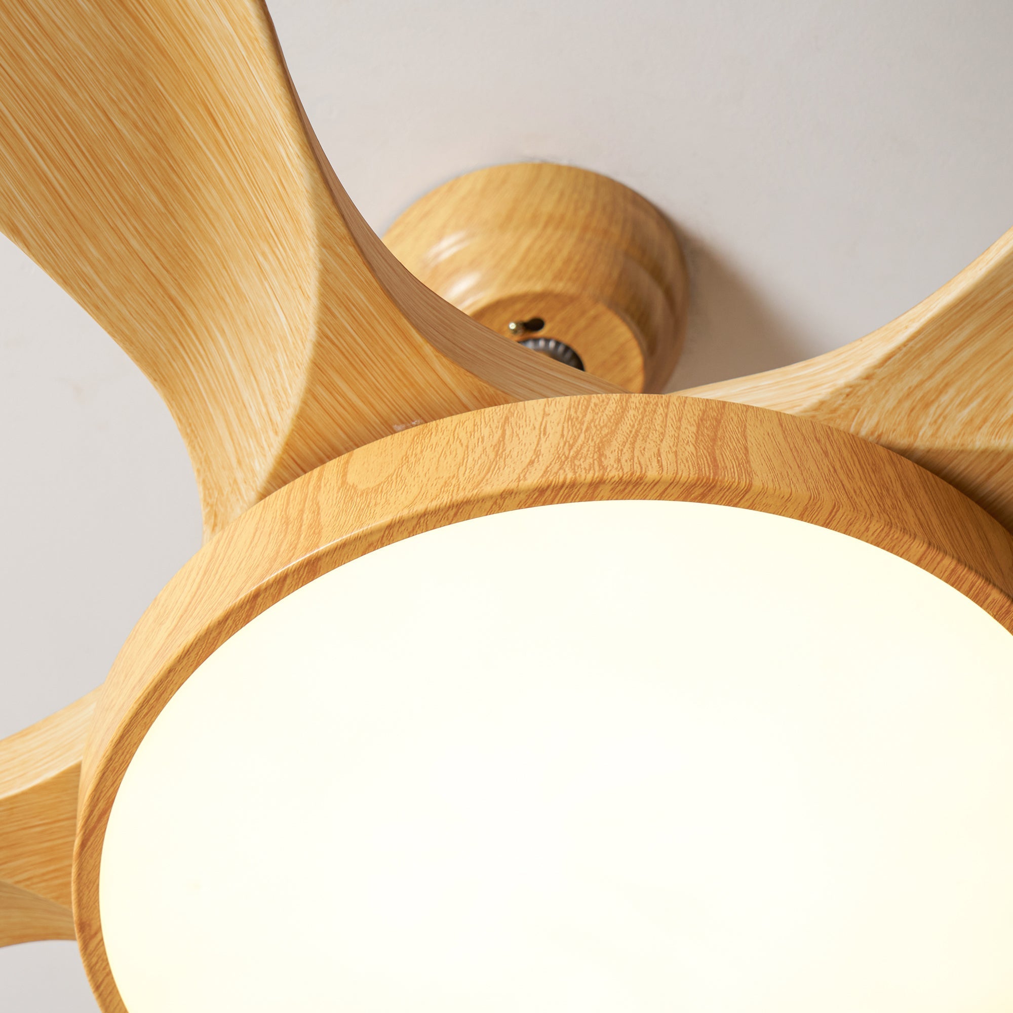 Fusion Premium Natural Acrylic Ceiling Fan Light - Letslighting