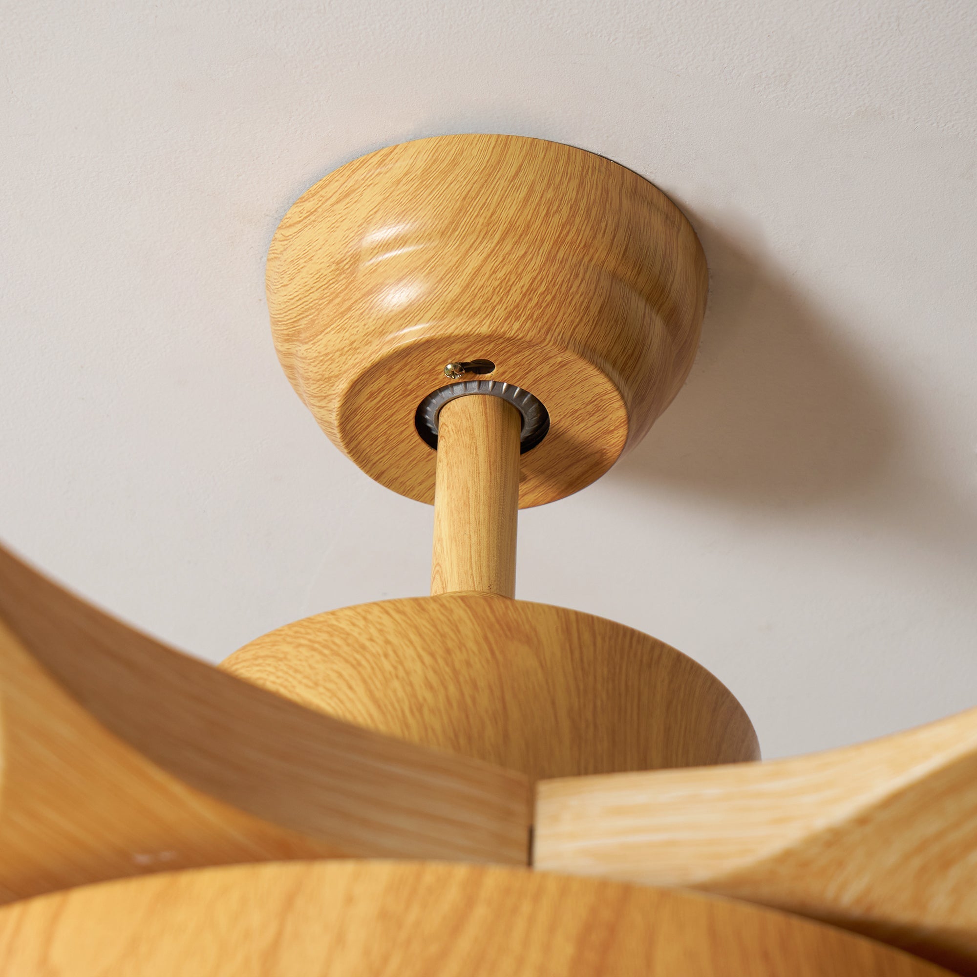 Fusion Premium Natural Acrylic Ceiling Fan Light - Letslighting