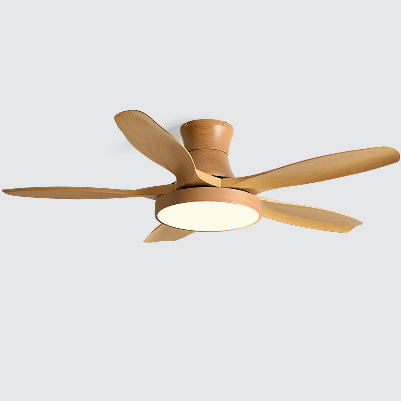 Fusion Premium Natural Acrylic Ceiling Fan Light - Letslighting