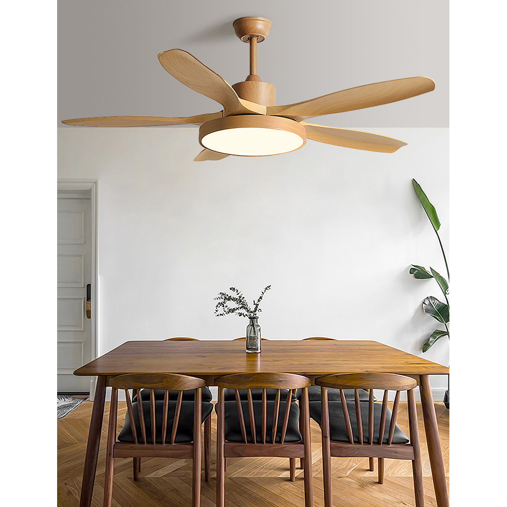 Fusion Premium Natural Acrylic Ceiling Fan Light - Letslighting
