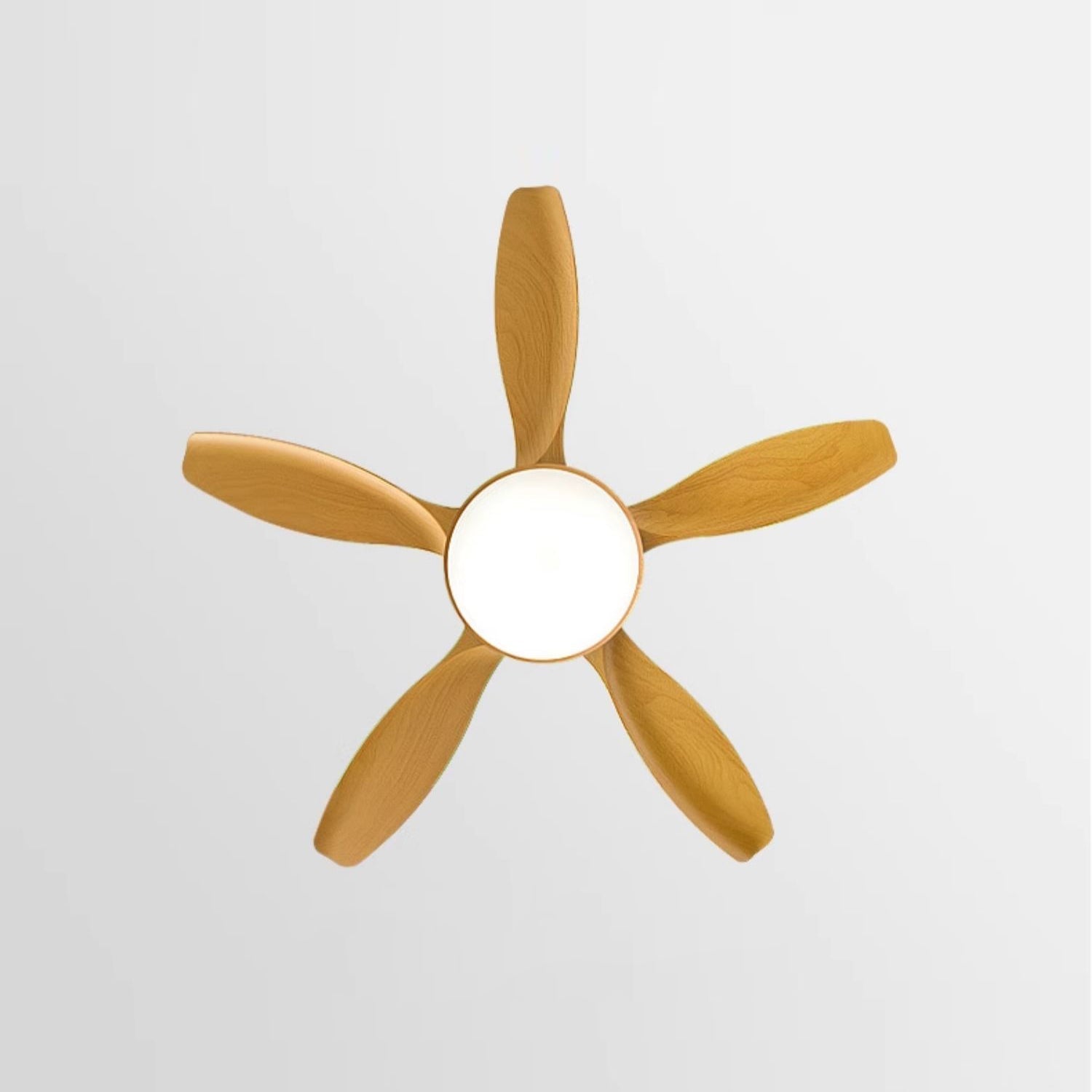 Fusion Premium Natural Acrylic Ceiling Fan Light - Letslighting
