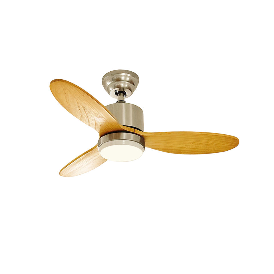 Essen Modern Minimalist Natural Wooden Acrylic Ceiling Fan Light - Letslighting