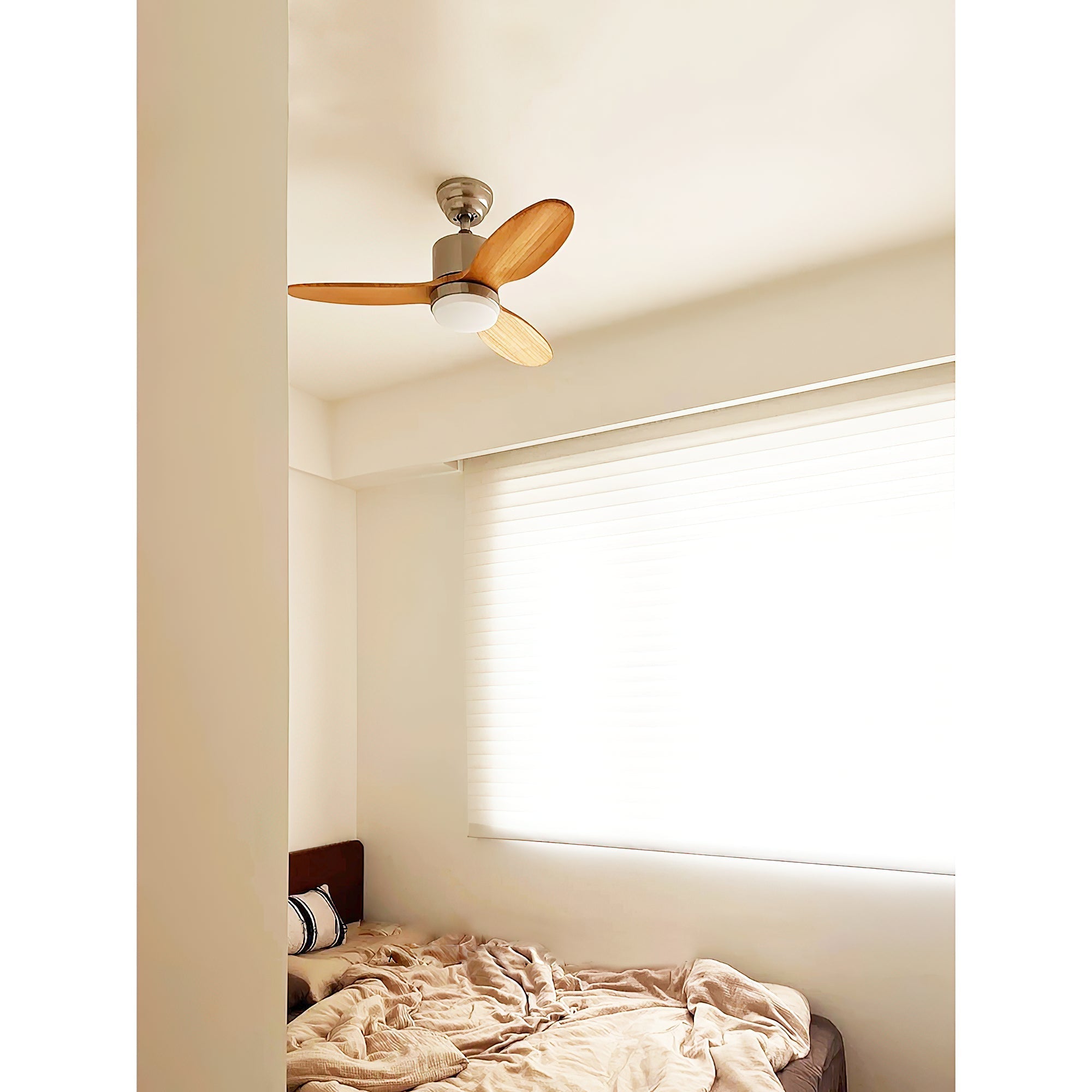 Essen Modern Minimalist Natural Wooden Acrylic Ceiling Fan Light - Letslighting