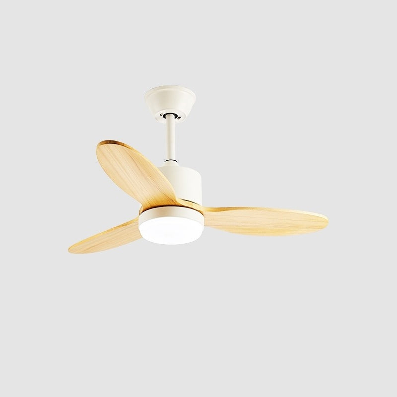 Essen Modern Minimalist Natural Wooden Acrylic Ceiling Fan Light - Letslighting