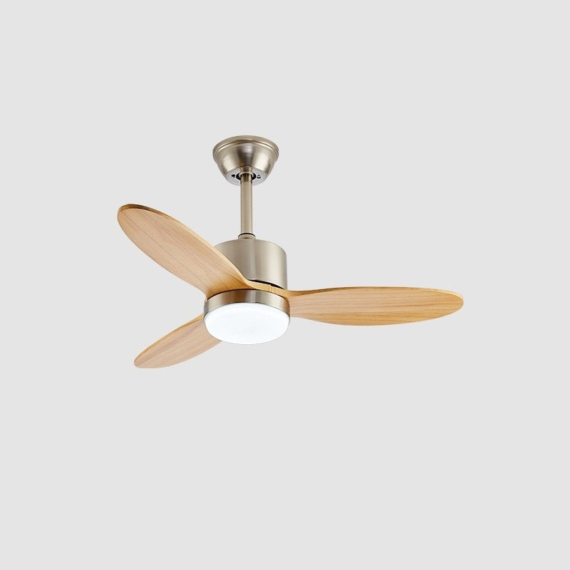 Essen Modern Minimalist Natural Wooden Acrylic Ceiling Fan Light - Letslighting