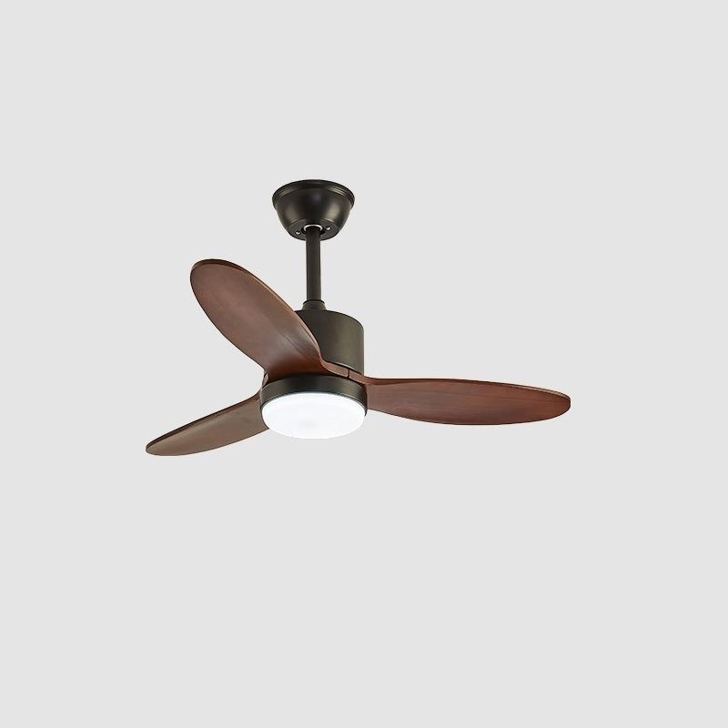 Essen Modern Minimalist Natural Wooden Acrylic Ceiling Fan Light - Letslighting