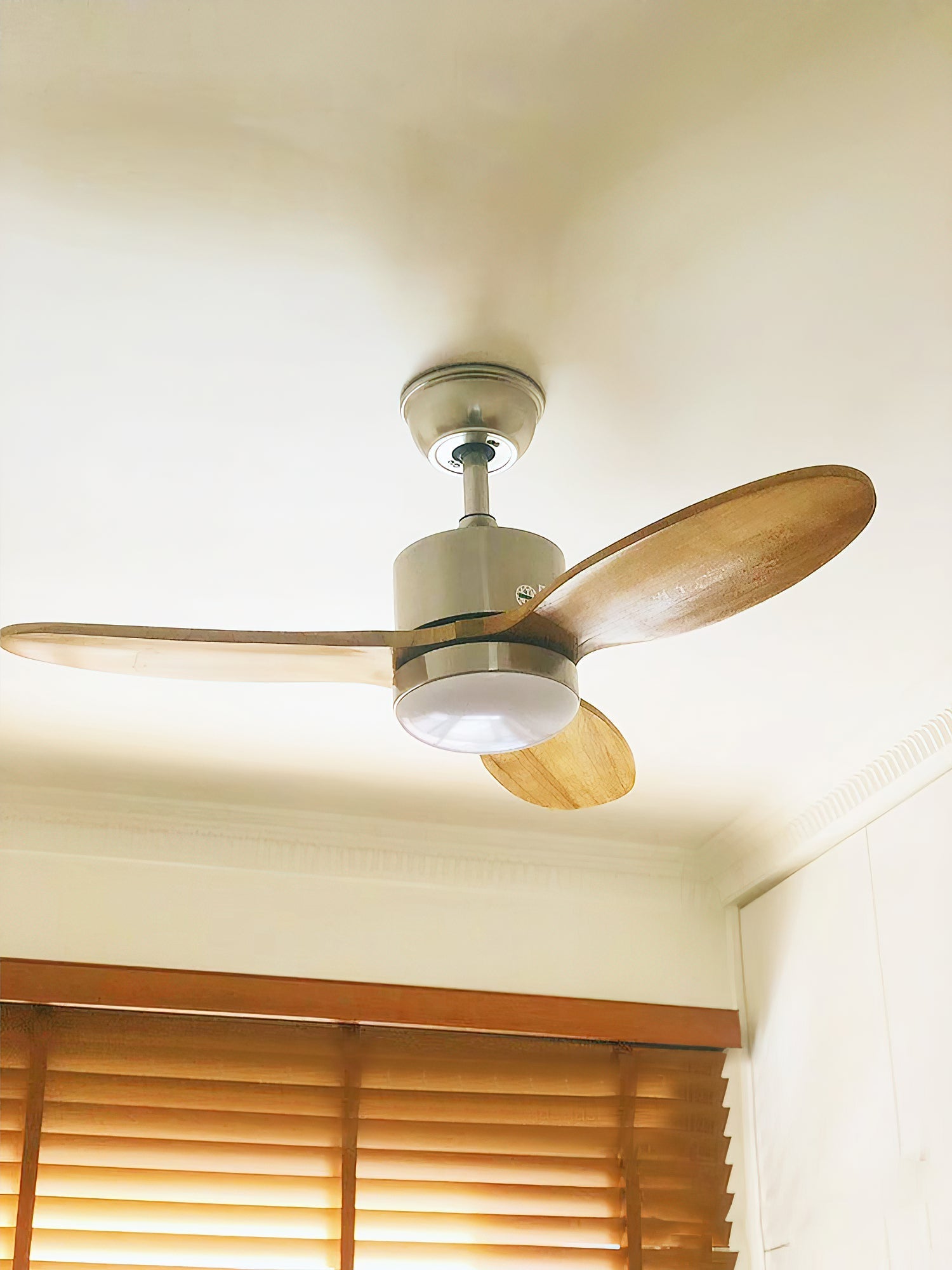 Essen Modern Minimalist Natural Wooden Acrylic Ceiling Fan Light - Letslighting