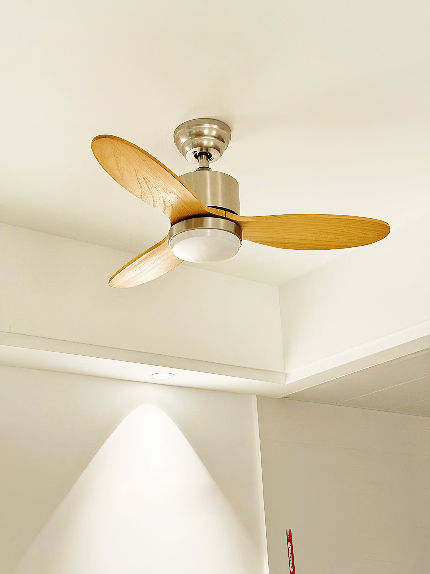 Essen Modern Minimalist Natural Wooden Acrylic Ceiling Fan Light - Letslighting