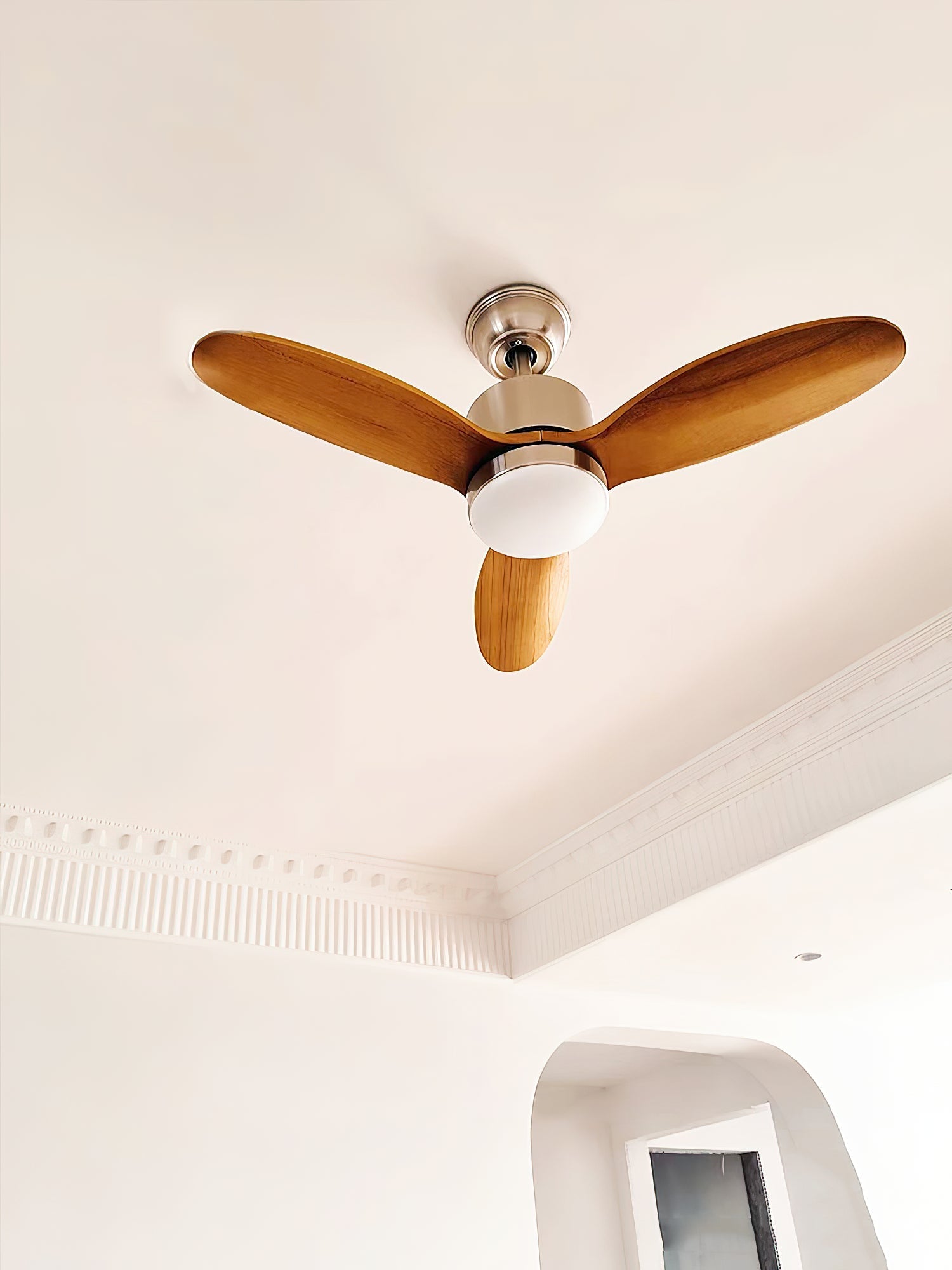 Essen Modern Minimalist Natural Wooden Acrylic Ceiling Fan Light - Letslighting
