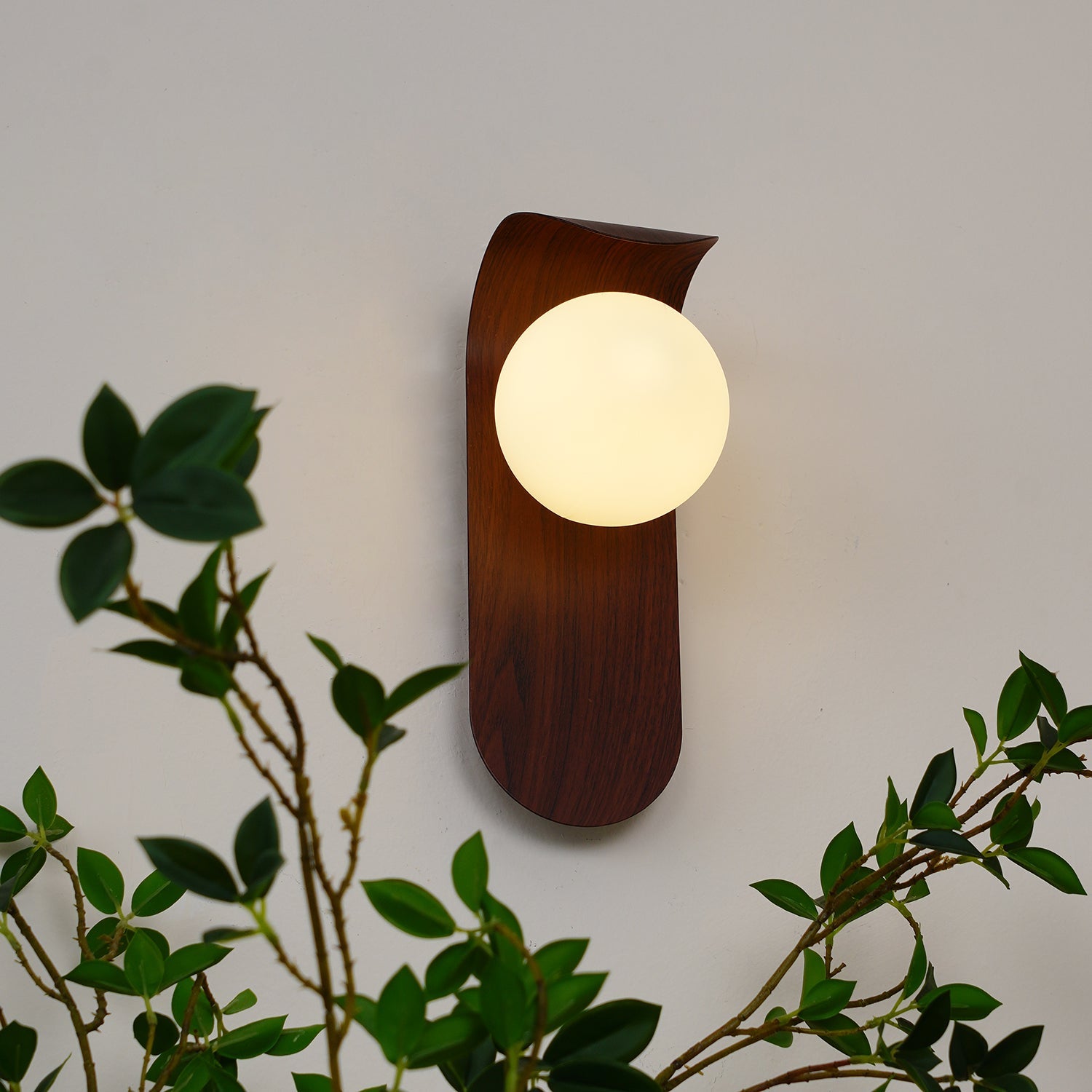 Muto Indoor Wall Lamp  Wood / Walnut