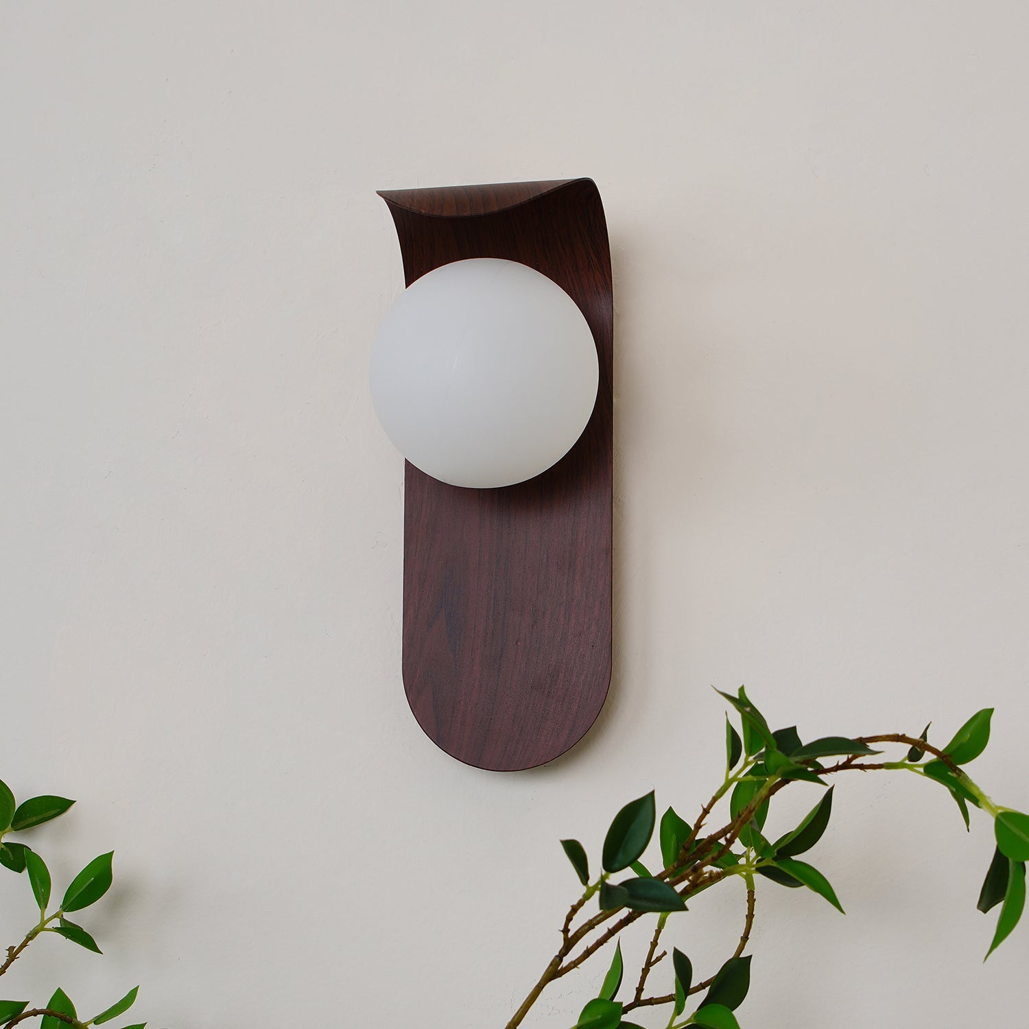 Muto Indoor Wall Lamp  Wood / Walnut