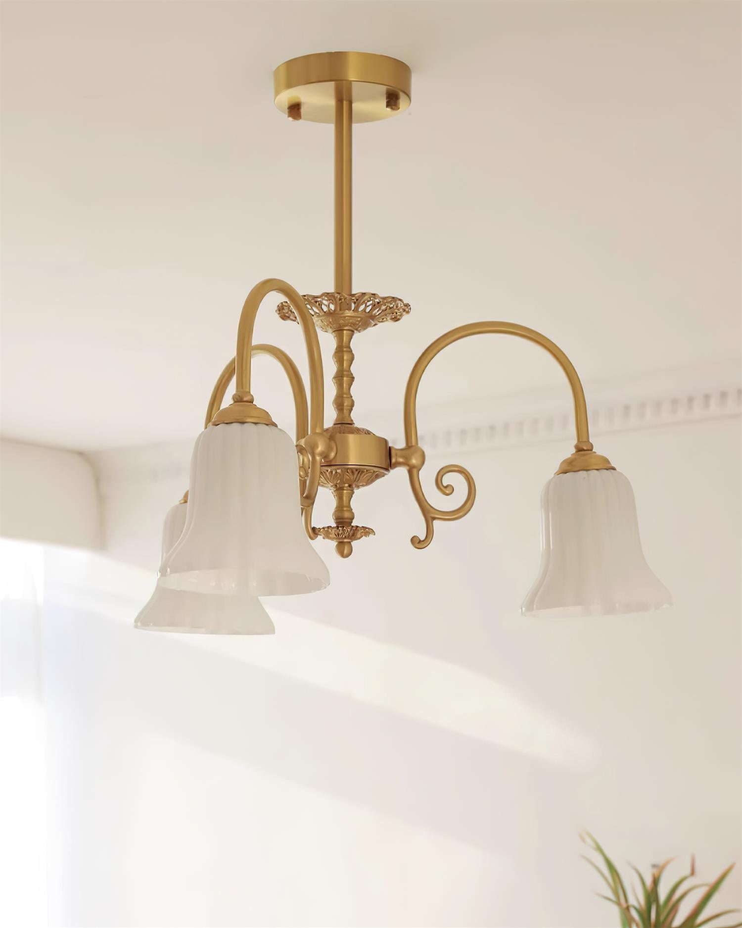 Chandelier with Brass Arms White Glass Shades Opulent Luxe - Letslighting
