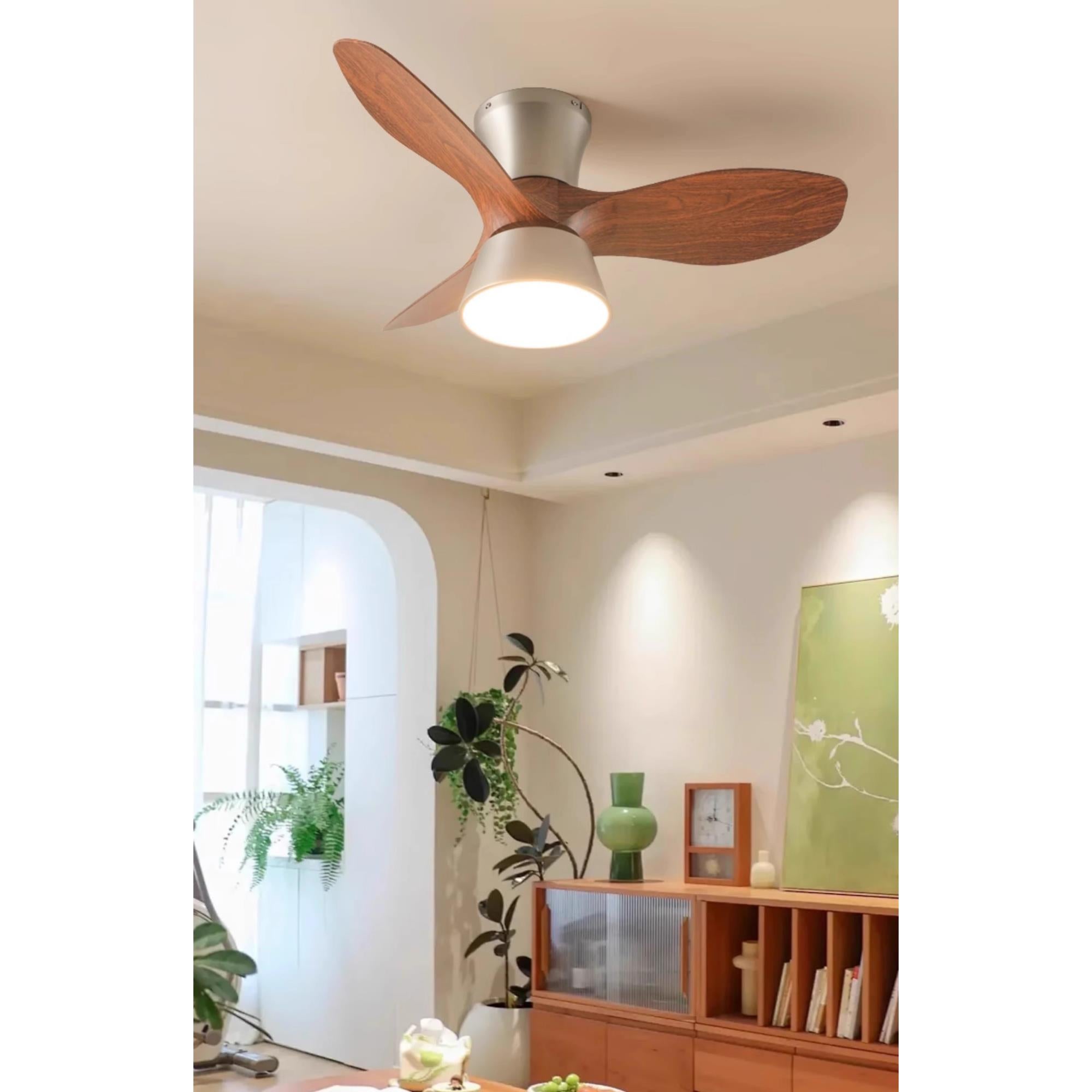 Zanorir Modern Minimalist Natural Wooden Acrylic Ceiling Fan Light - Letslighting