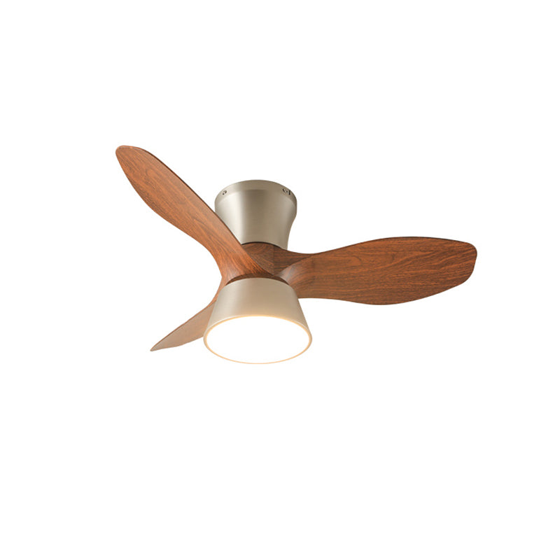 Zanorir Modern Minimalist Natural Wooden Acrylic Ceiling Fan Light - Letslighting