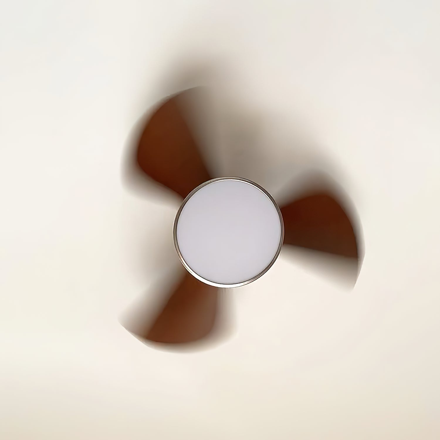 Zanorir Modern Minimalist Natural Wooden Acrylic Ceiling Fan Light - Letslighting