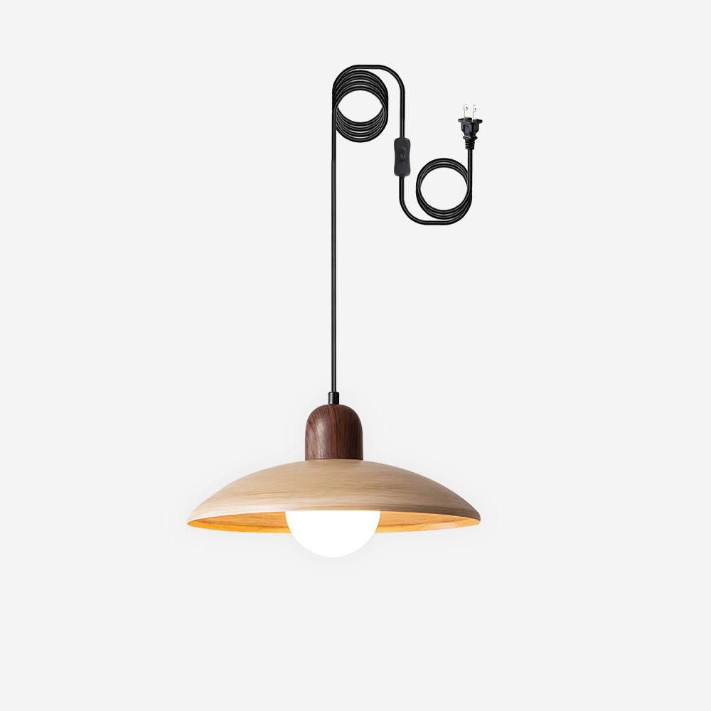 Pendant Light Plug-In Globe Light for Kitchen & Reading Nooks