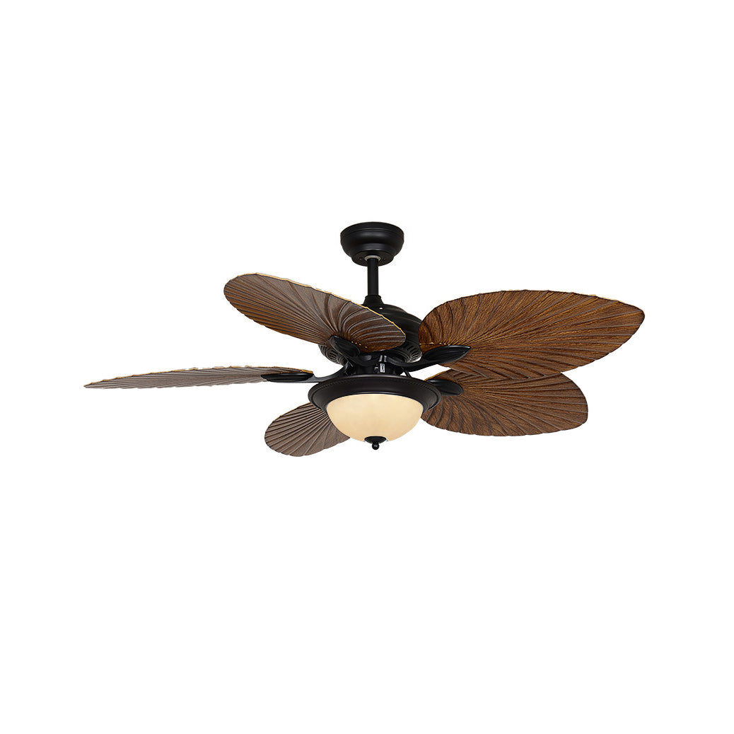 Yearn Natural Classic Walnut Acrylic Ceiling Fan Light - Letslighting