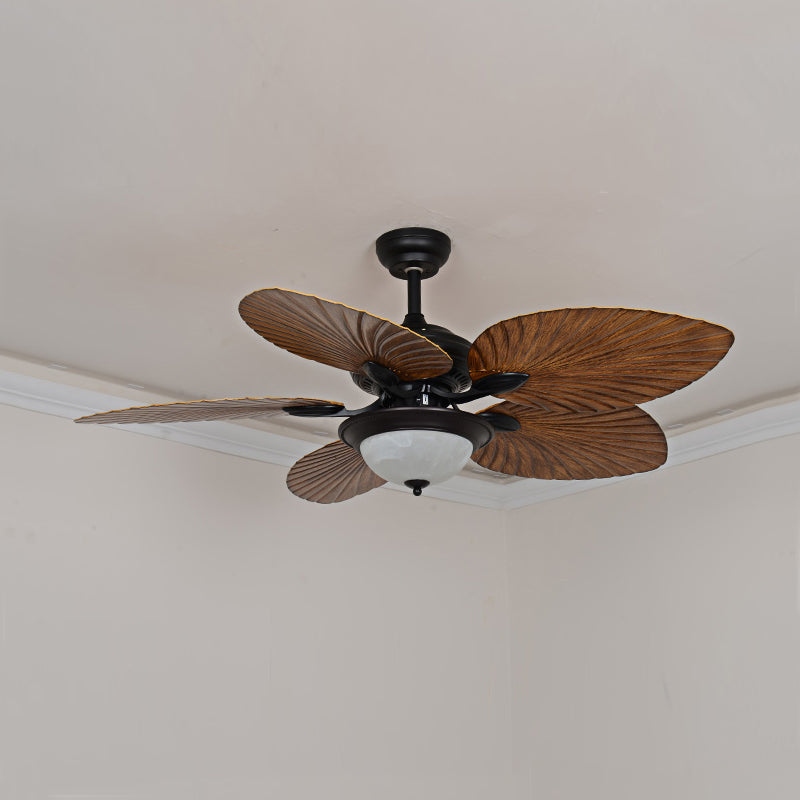 Yearn Natural Classic Walnut Acrylic Ceiling Fan Light - Letslighting