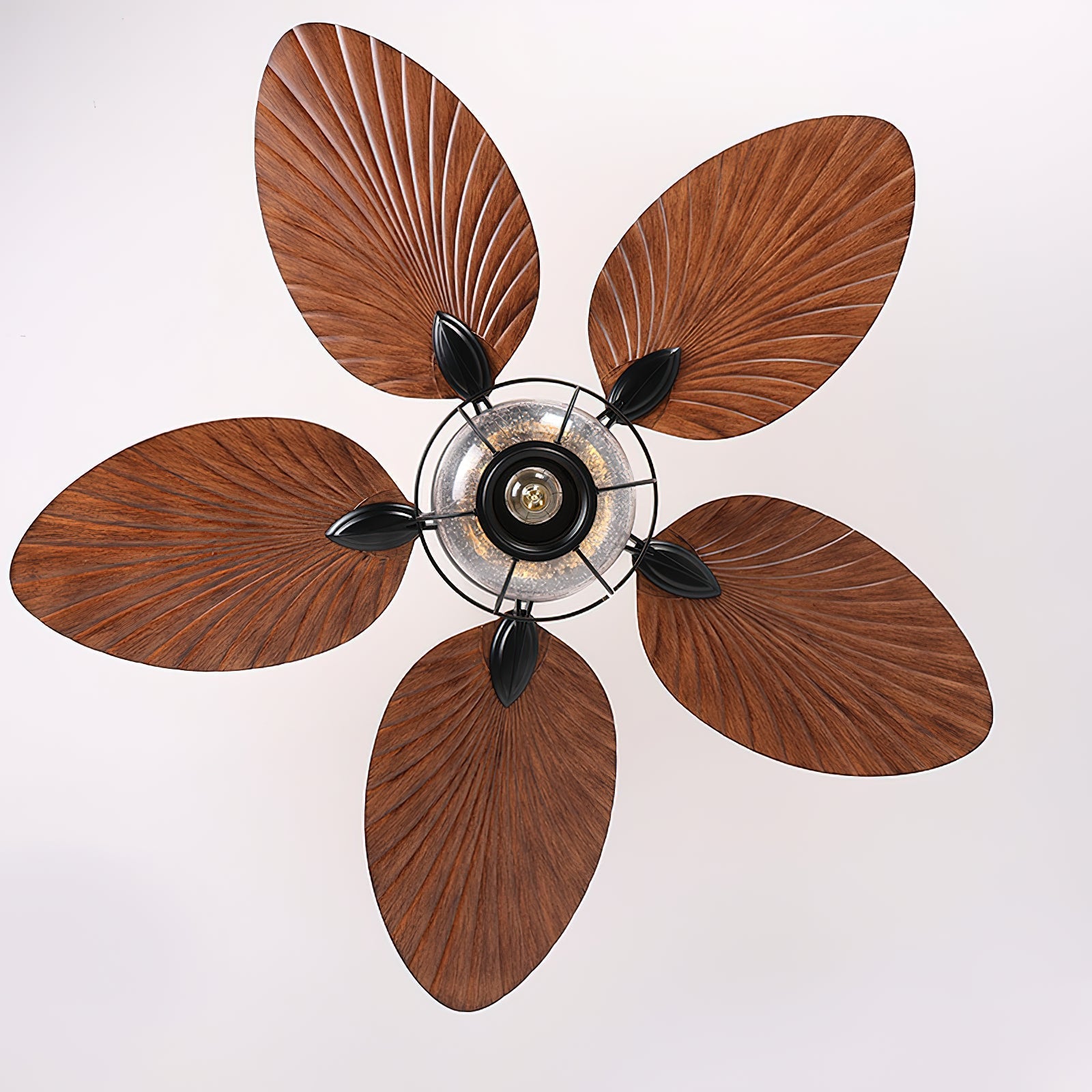 Yearn Natural Classic Walnut Acrylic Ceiling Fan Light - Letslighting