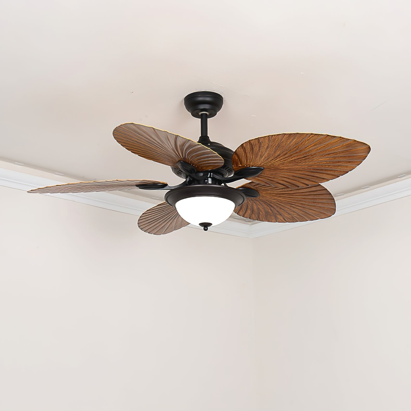 Yearn Natural Classic Walnut Acrylic Ceiling Fan Light - Letslighting