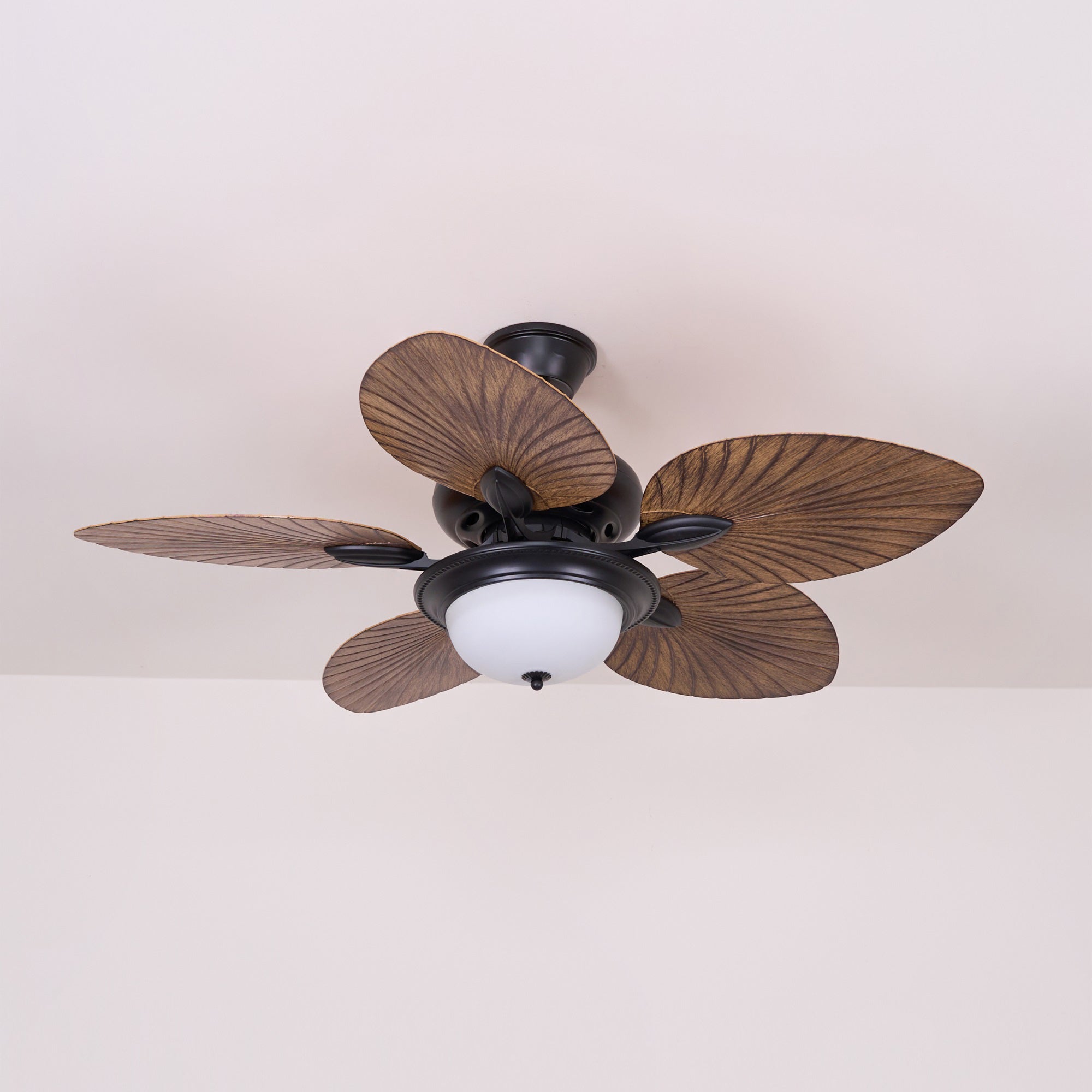 Yearn Natural Classic Walnut Acrylic Ceiling Fan Light - Letslighting