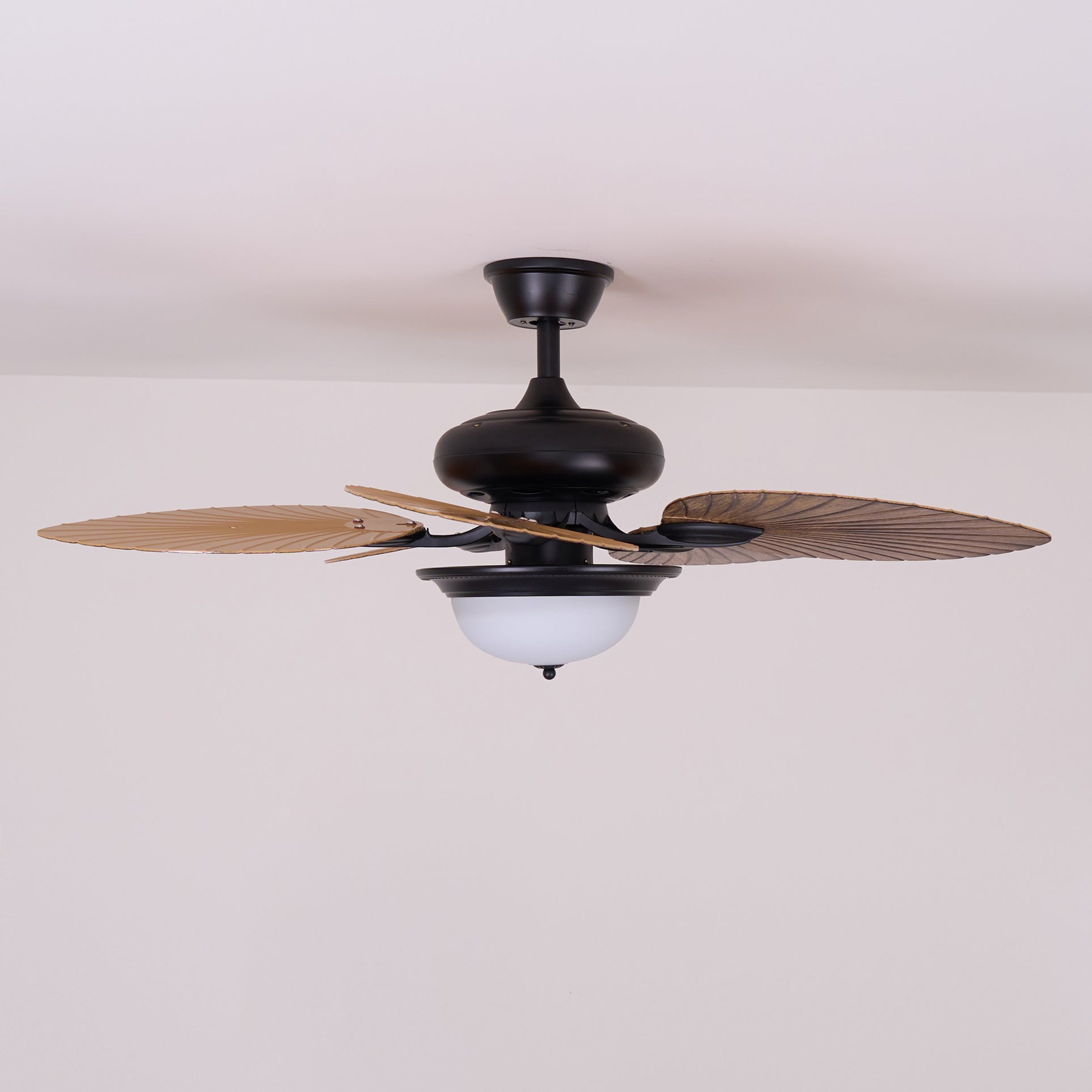 Yearn Natural Classic Walnut Acrylic Ceiling Fan Light - Letslighting