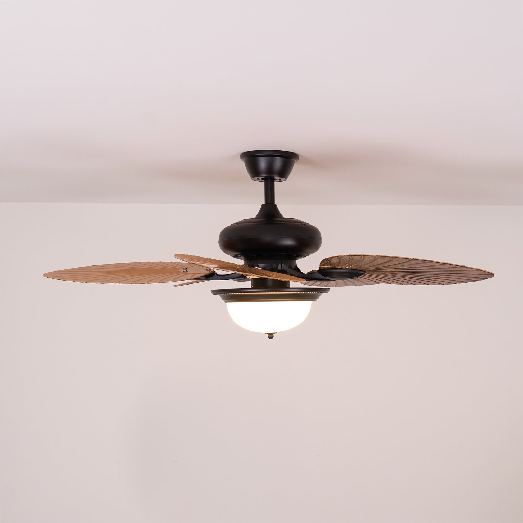 Yearn Natural Classic Walnut Acrylic Ceiling Fan Light - Letslighting