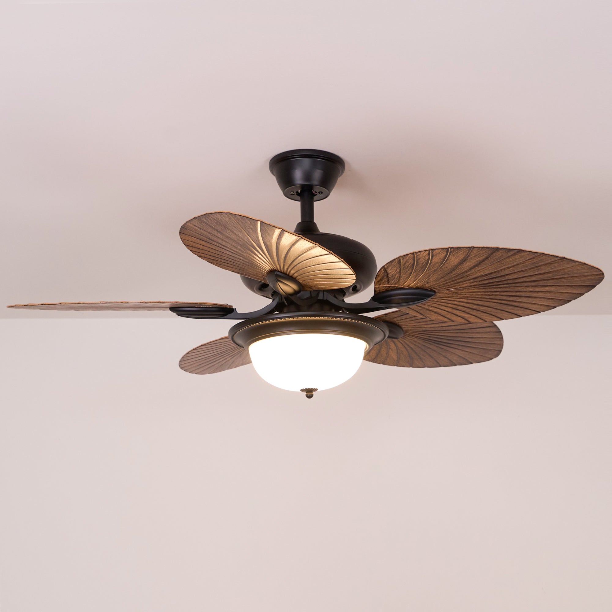 Yearn Natural Classic Walnut Acrylic Ceiling Fan Light - Letslighting