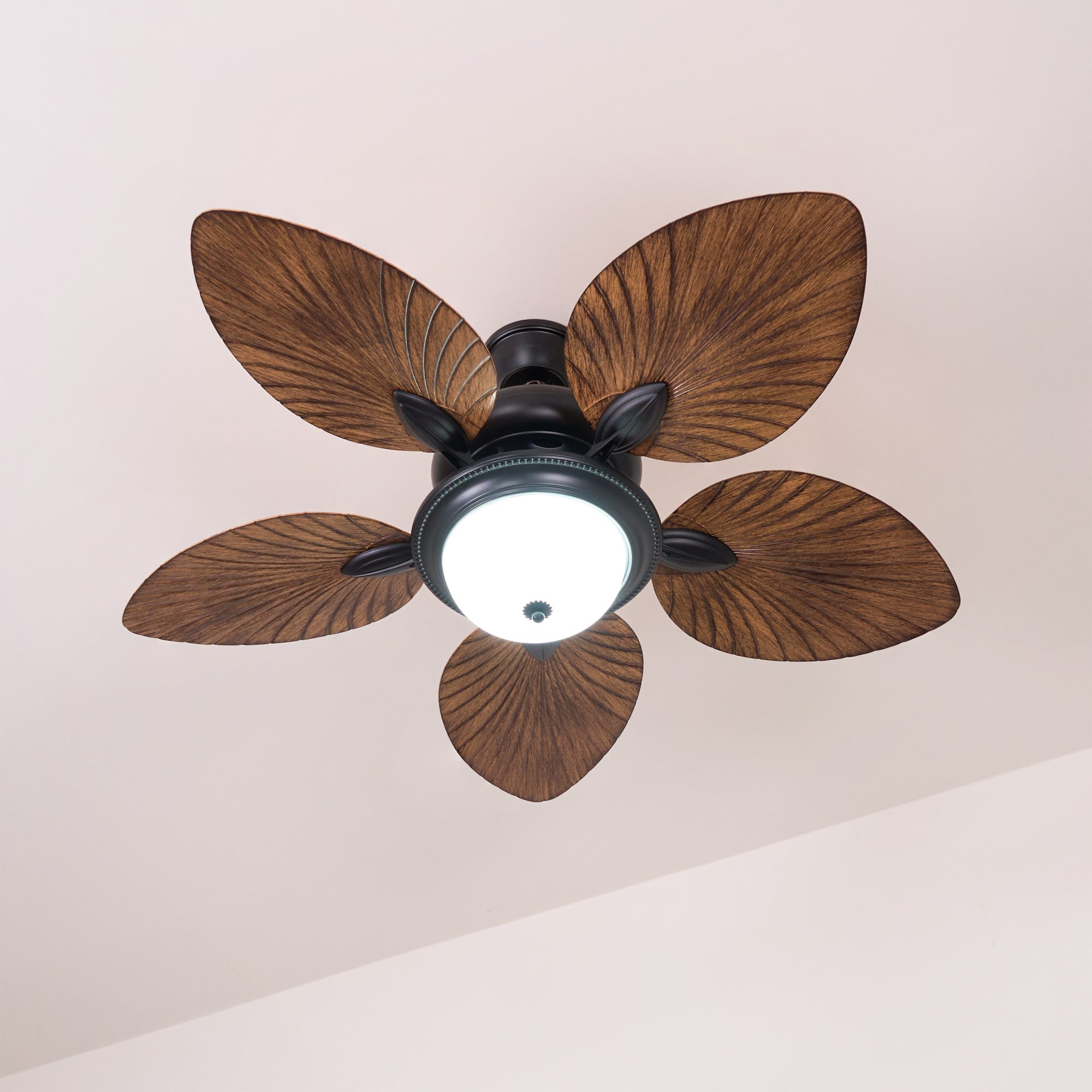 Yearn Natural Classic Walnut Acrylic Ceiling Fan Light - Letslighting