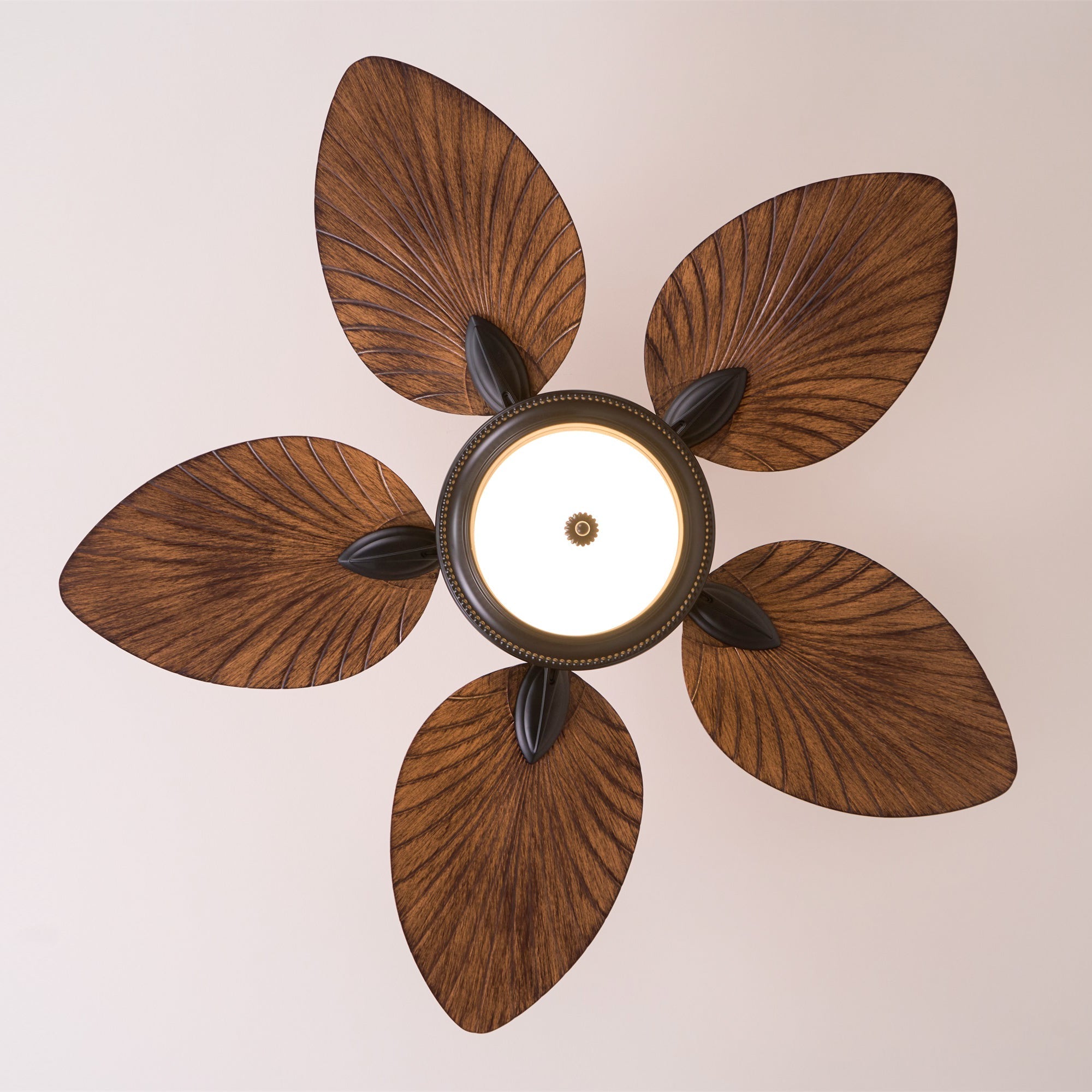 Yearn Natural Classic Walnut Acrylic Ceiling Fan Light - Letslighting
