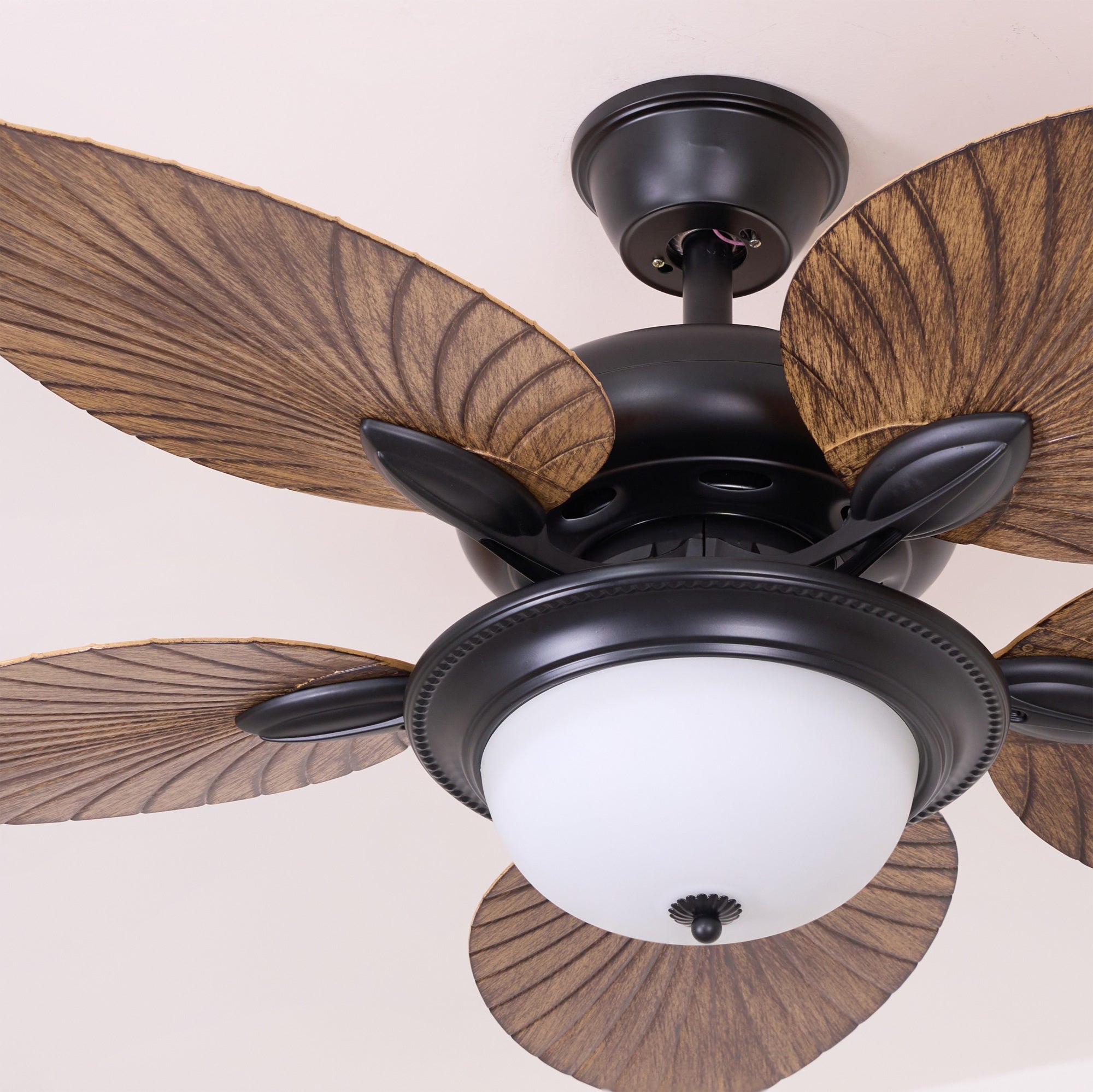 Yearn Natural Classic Walnut Acrylic Ceiling Fan Light - Letslighting