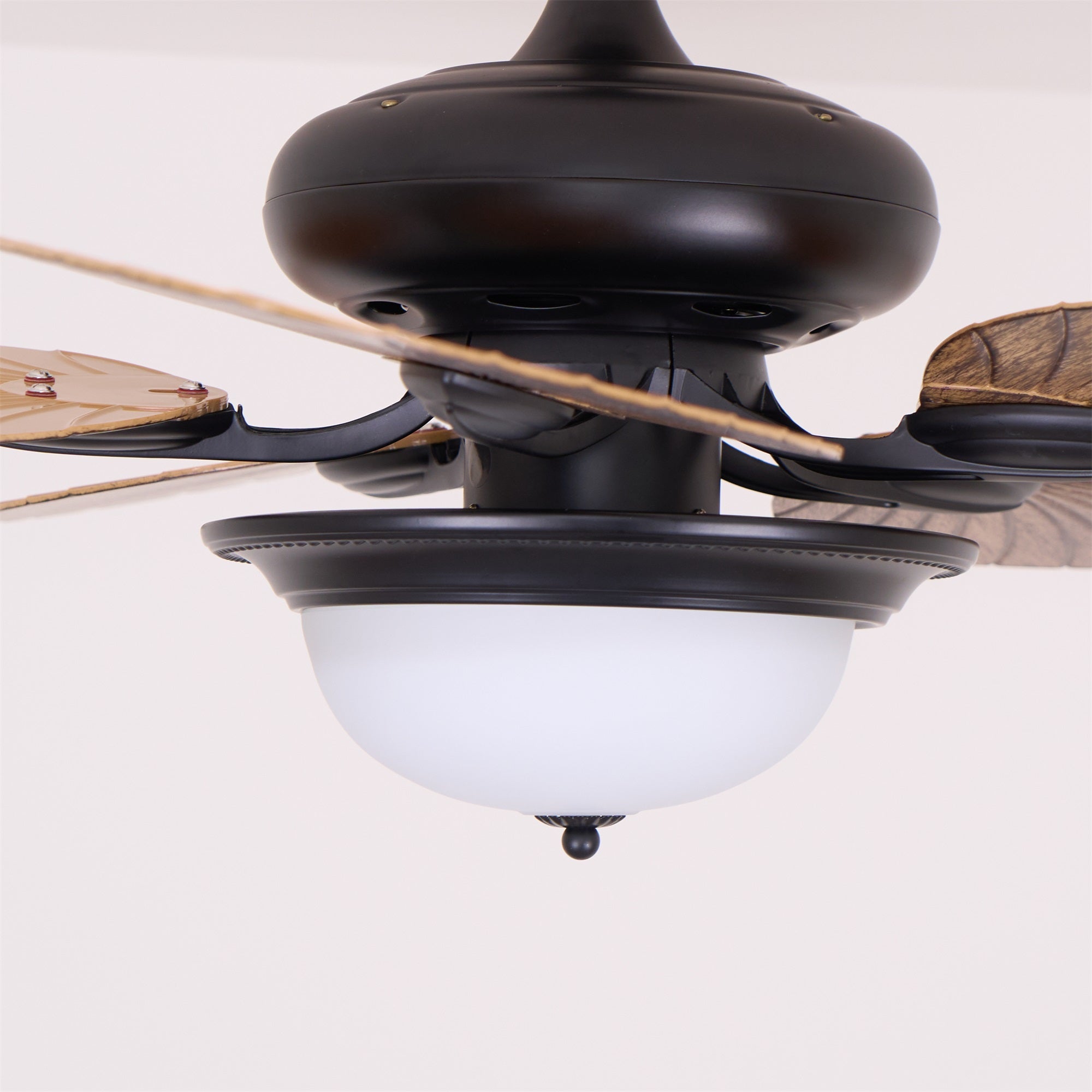 Yearn Natural Classic Walnut Acrylic Ceiling Fan Light - Letslighting