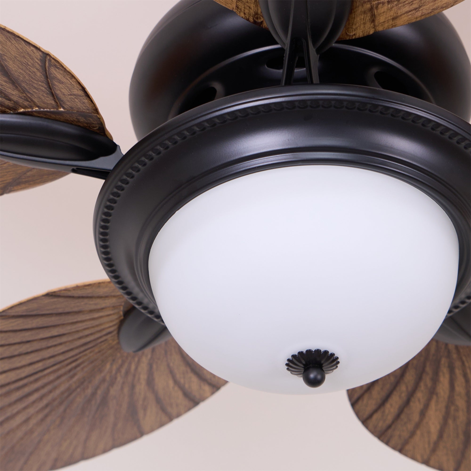 Yearn Natural Classic Walnut Acrylic Ceiling Fan Light - Letslighting