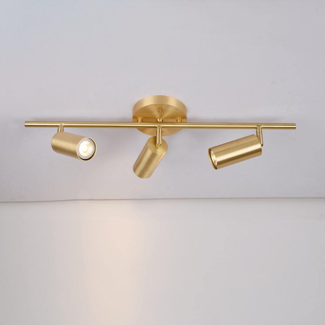 Cacaryra Modern Minimalist Brass Ceiling Lamp - Letslighting