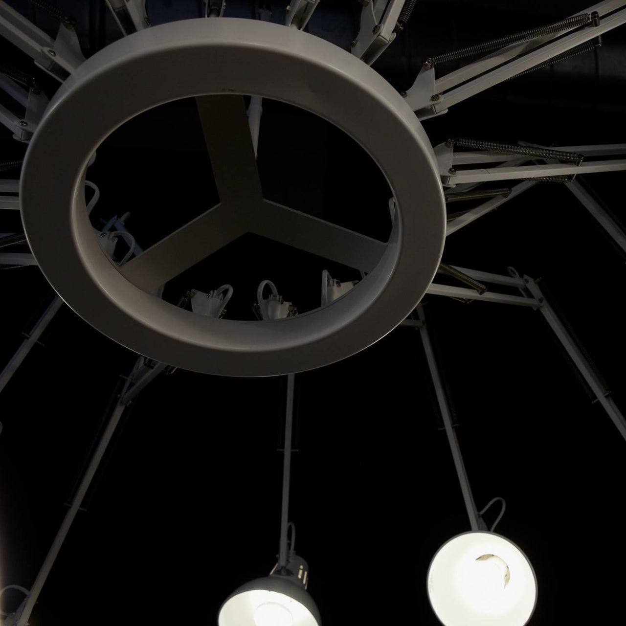 Lustra Chandelier Black Adjustable Multi Arm - Letslighting
