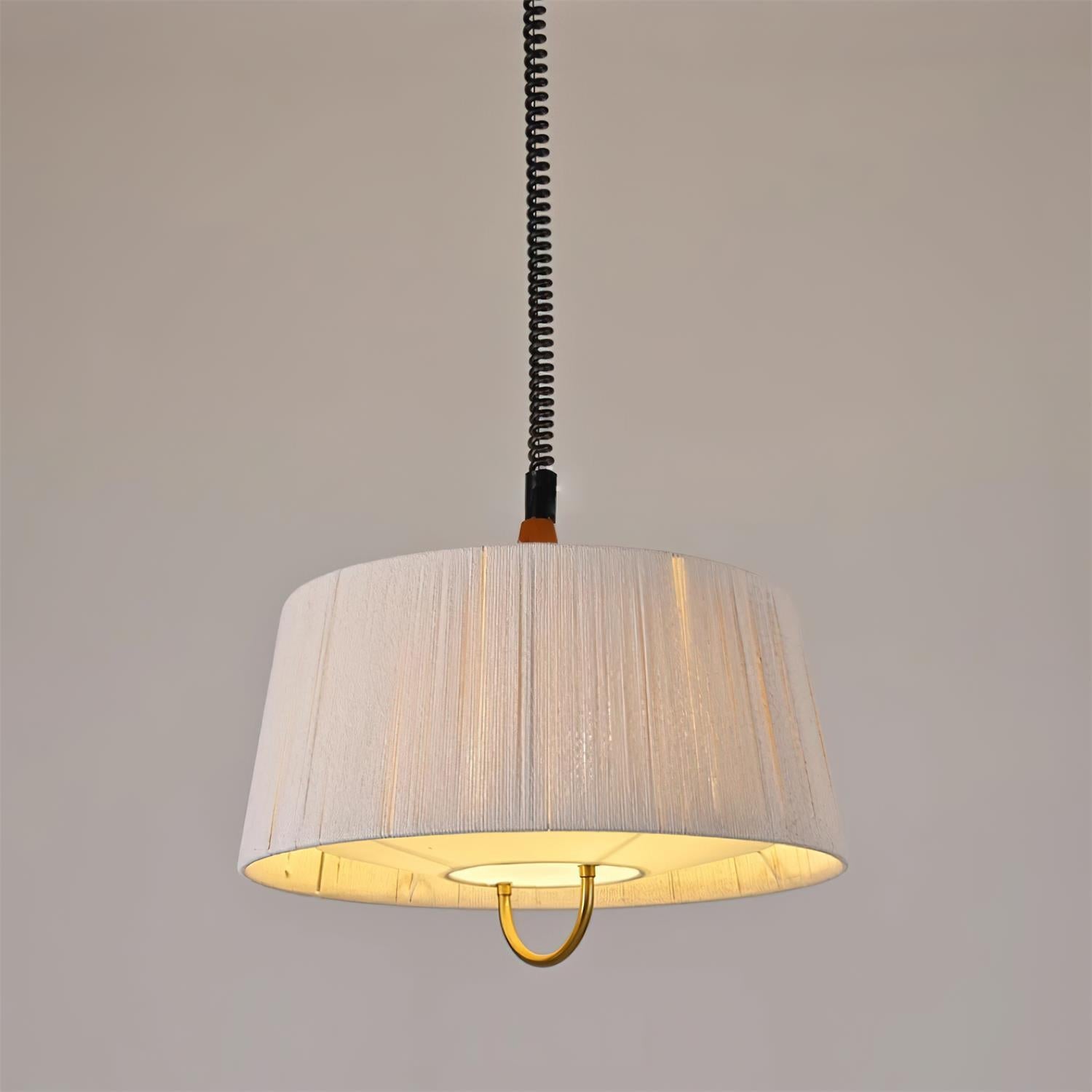 Delaney Pendant Lamp Pleated Adjustable Elegant - Letslighting