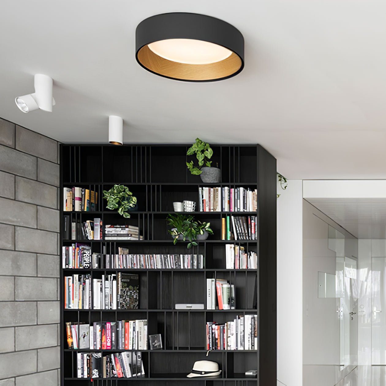 Caraeara Modern Minimalist Round Ceiling Lamp - Letslighting