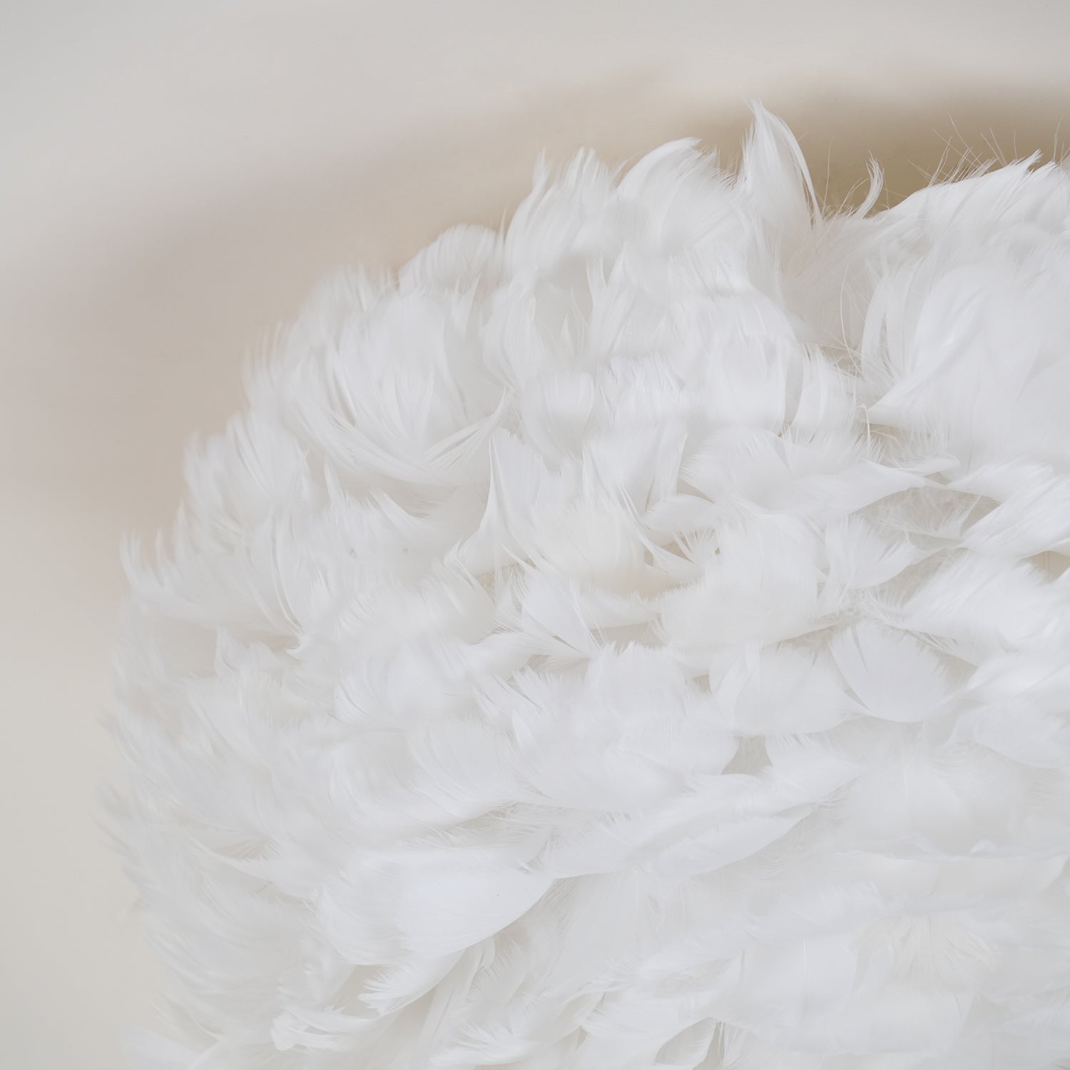 Zalore Premium Nordic Art Feathered Ceiling Lamp - Letslighting