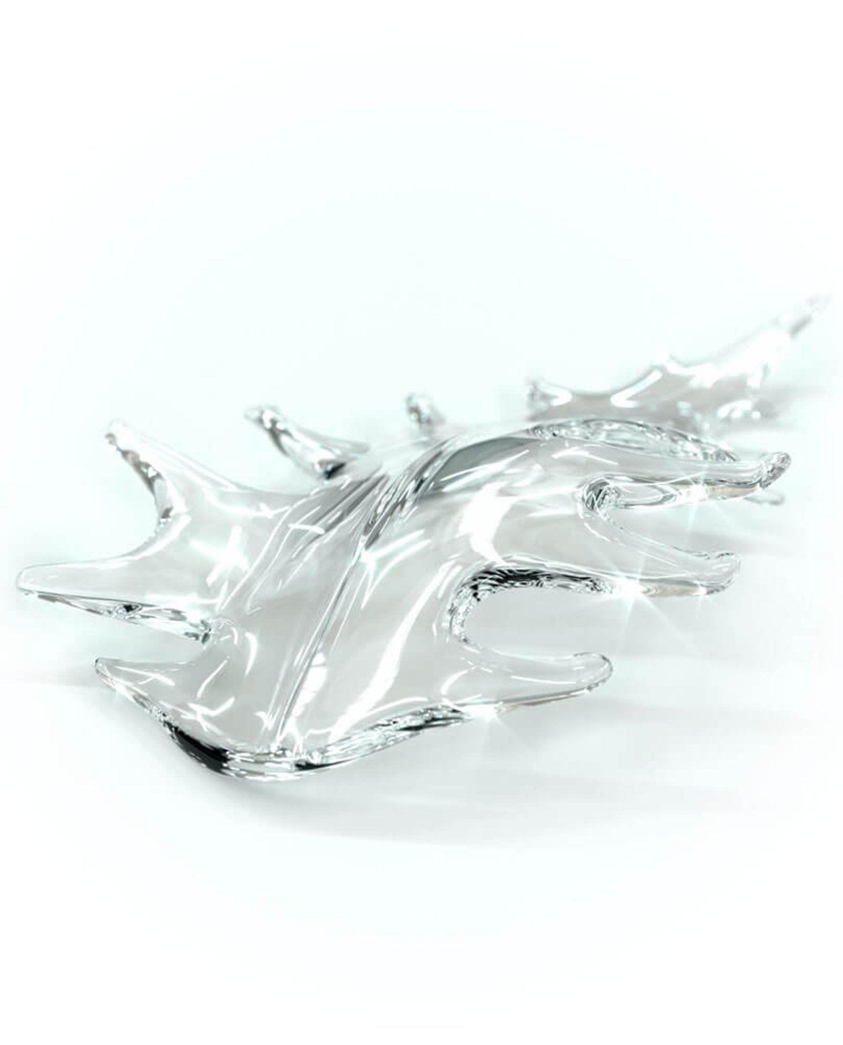 Cosolion Bird Amber Clear Glass Chandelier - Letslighting