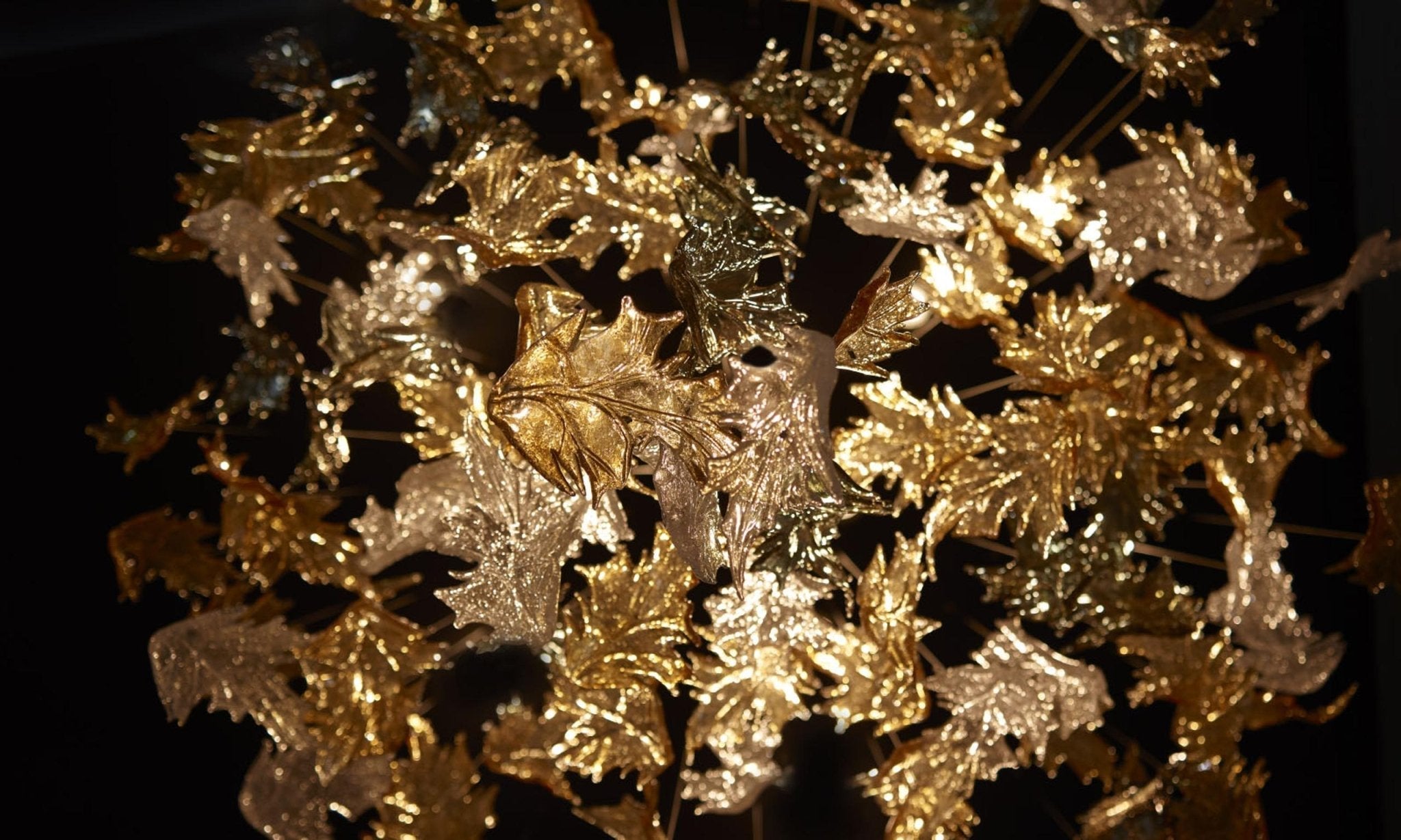 Cosolion Bird Amber Clear Glass Chandelier - Letslighting