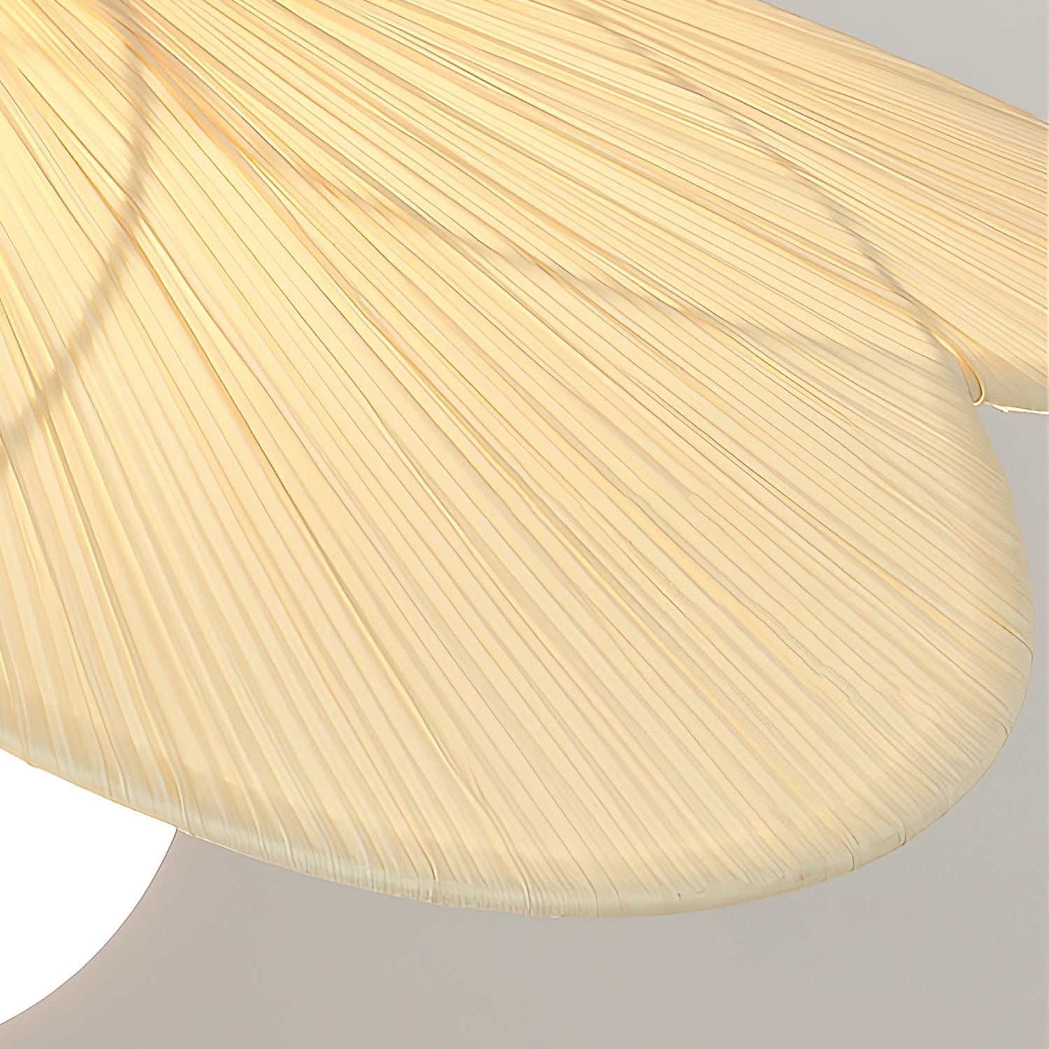 Froselia Pendant Lamp - Letslighting