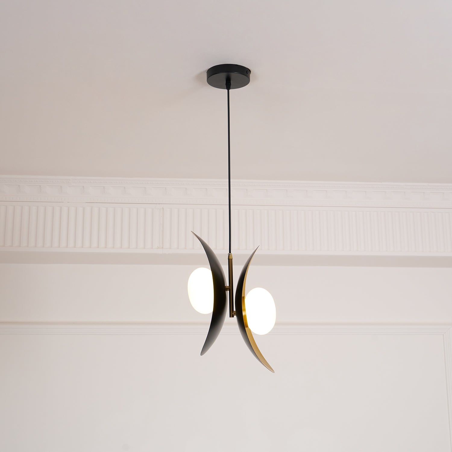 Fioran Contemporary Pendant Lamp - Letslighting