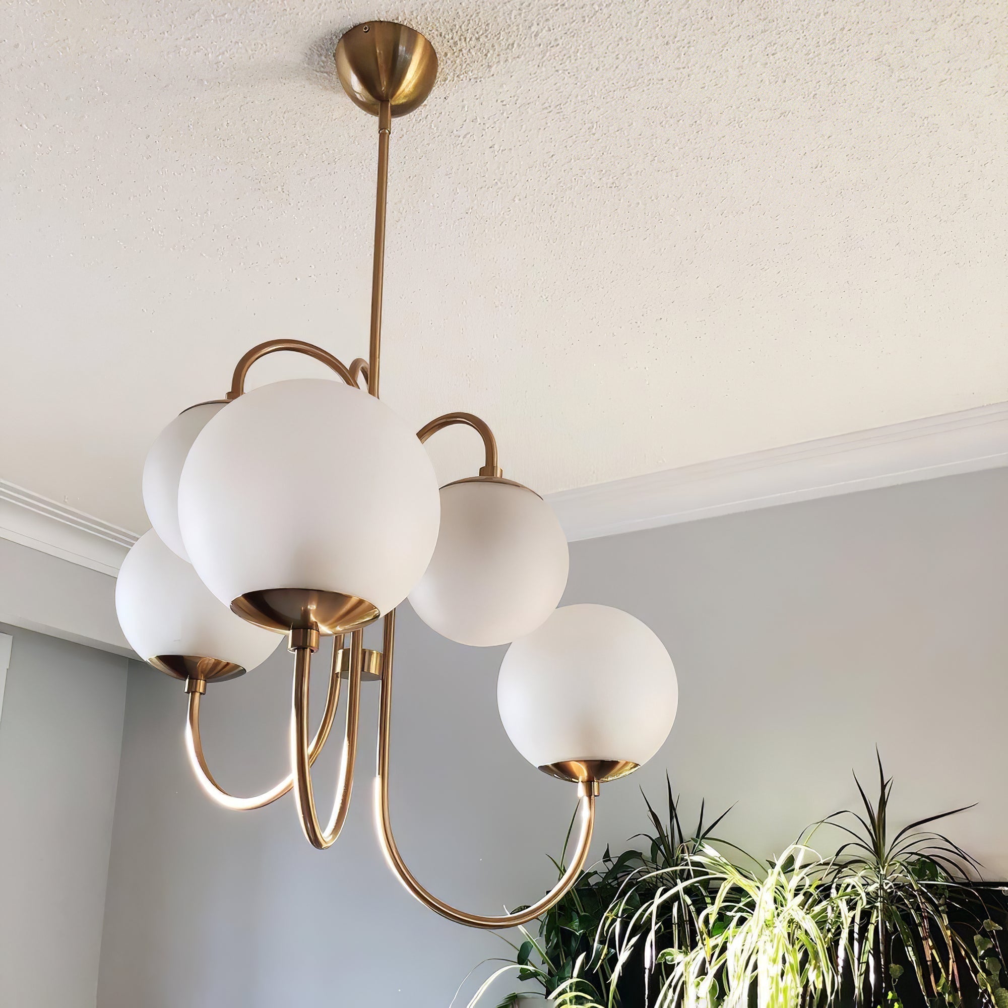 Lustra Chandelier Brass Globe Cluster Curved Arm - Letslighting