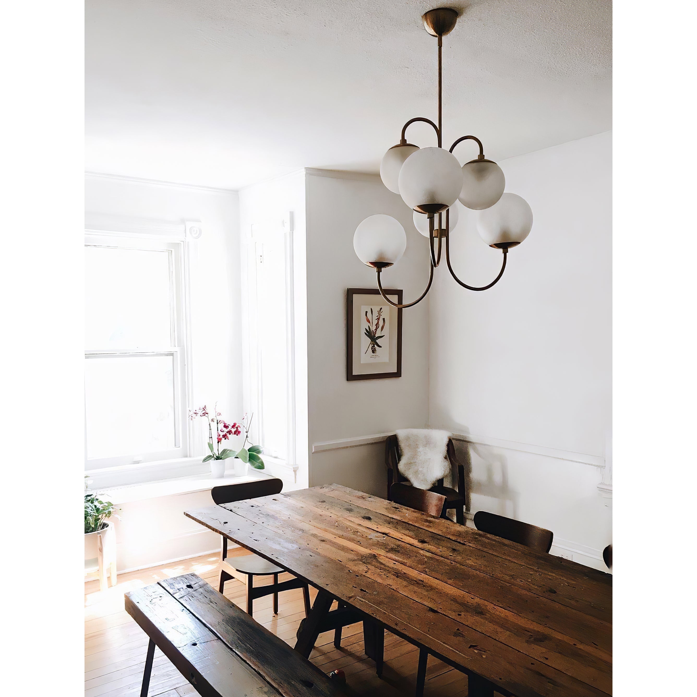 Zathaor Individual Creativity Glass Chandelier - Letslighting